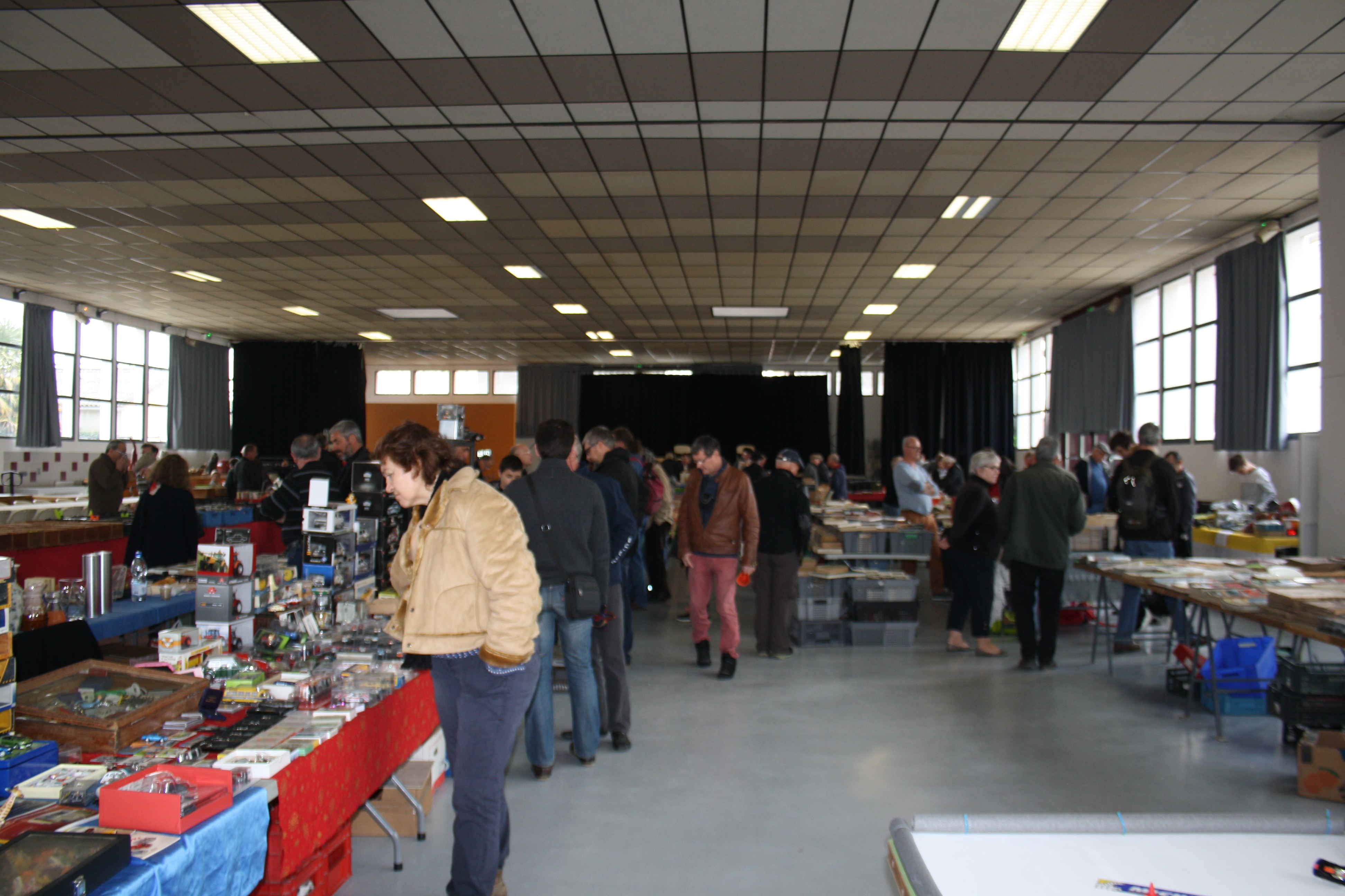 RISCLE BOURSE AUX COLLECTIONS FEVRIER 2017 002.JPG