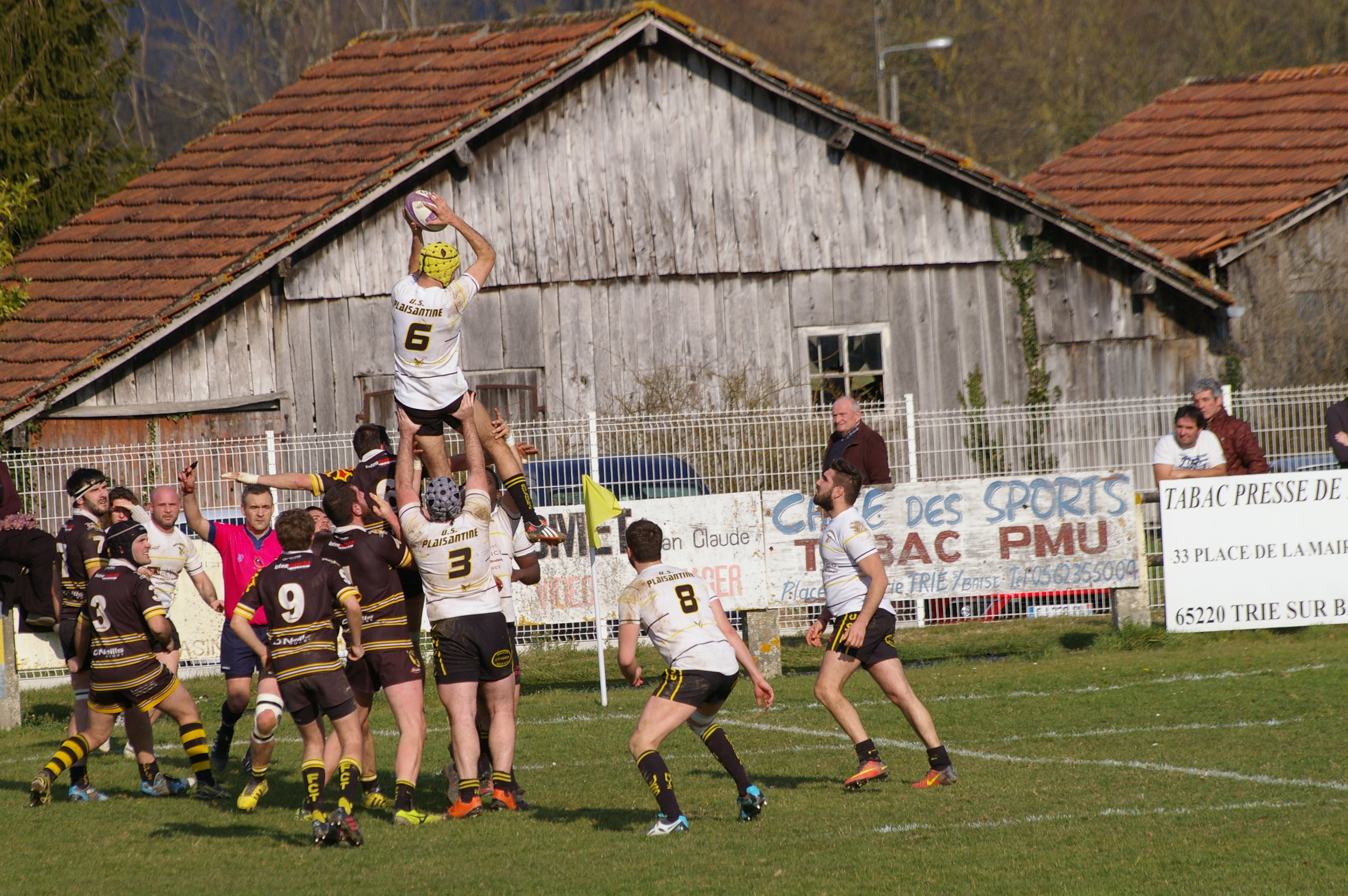 IMGP3979.JPG