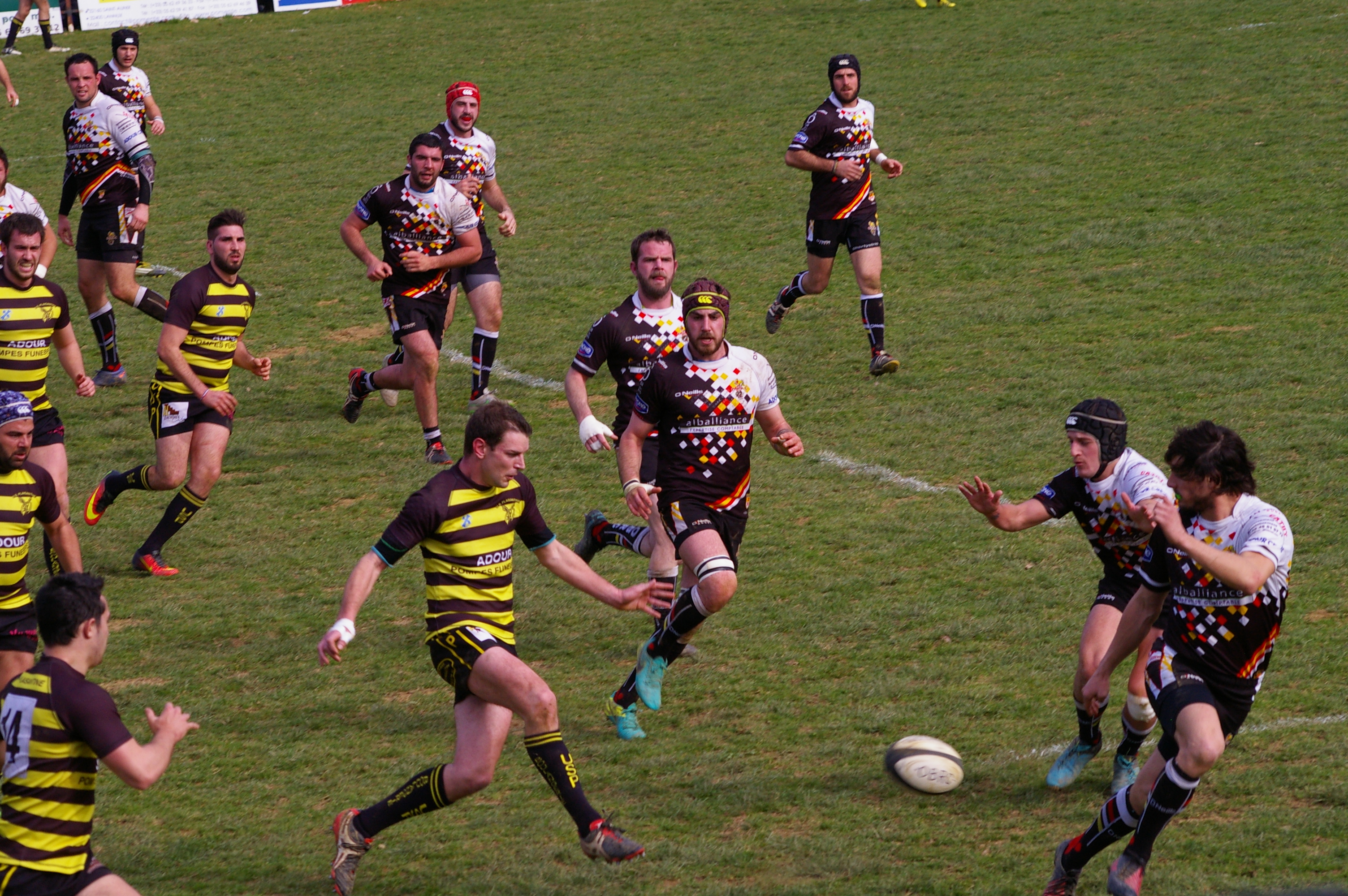 IMGP4069.JPG