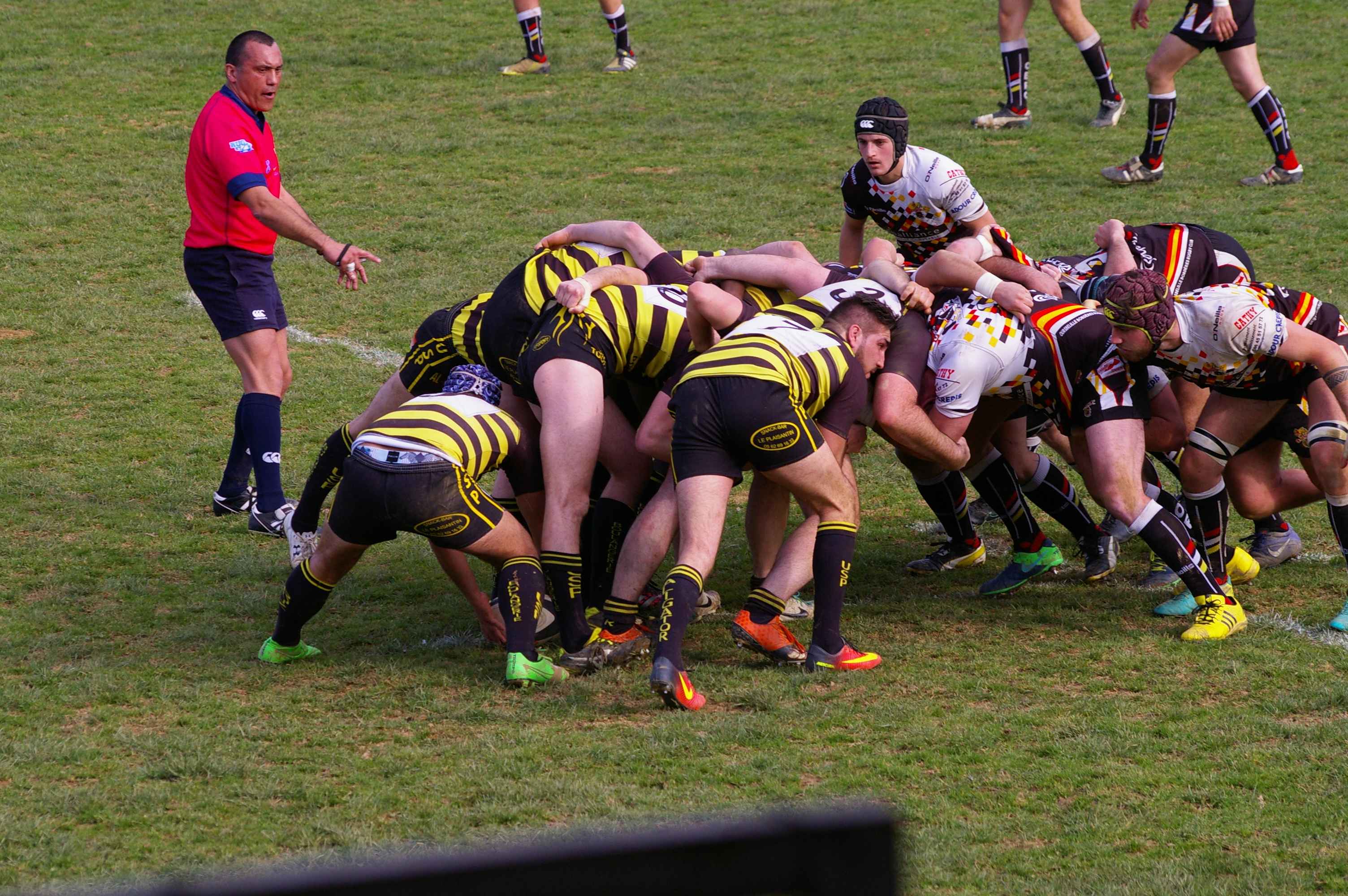 IMGP4074.JPG