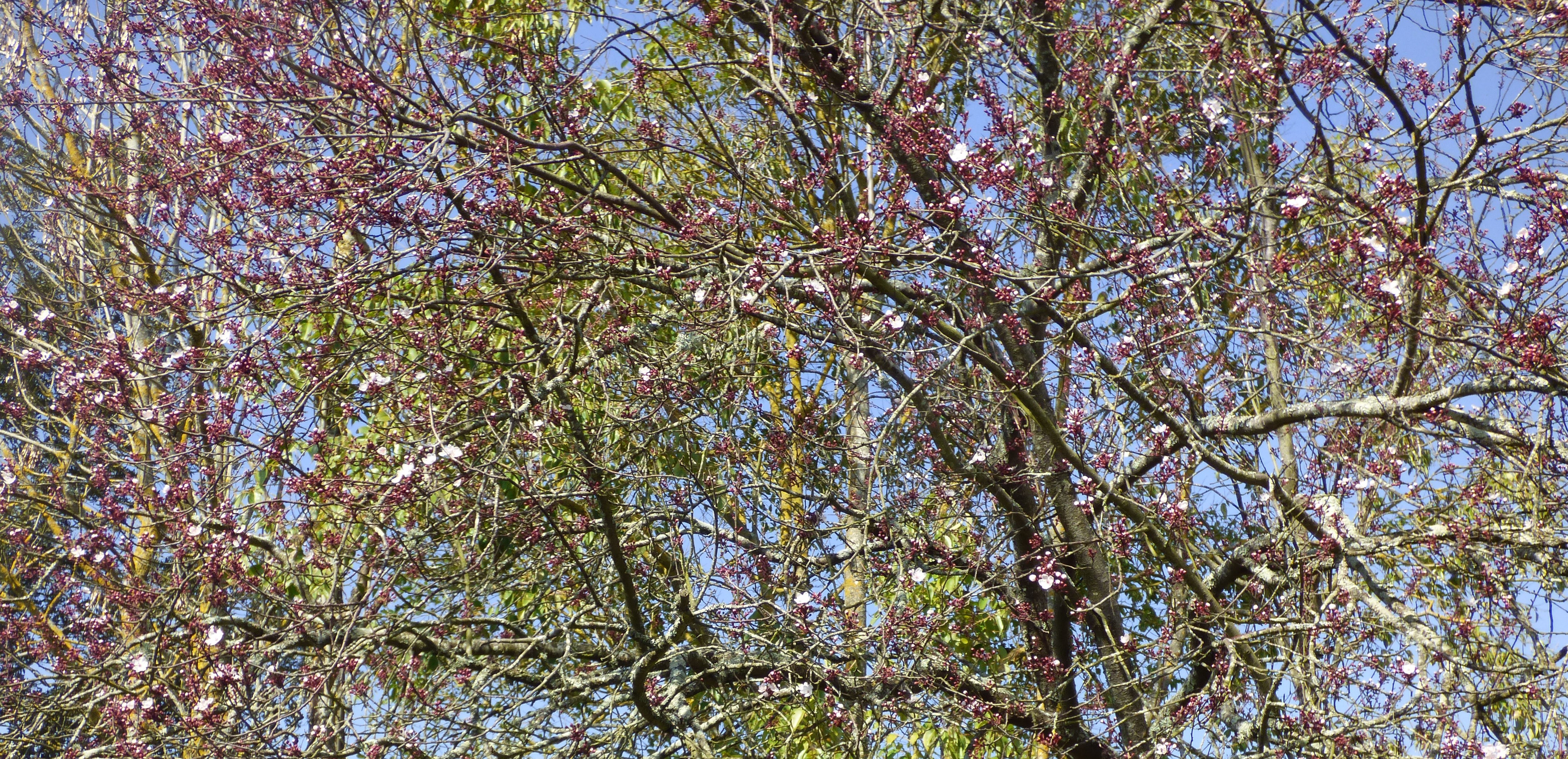 P1000800.JPG