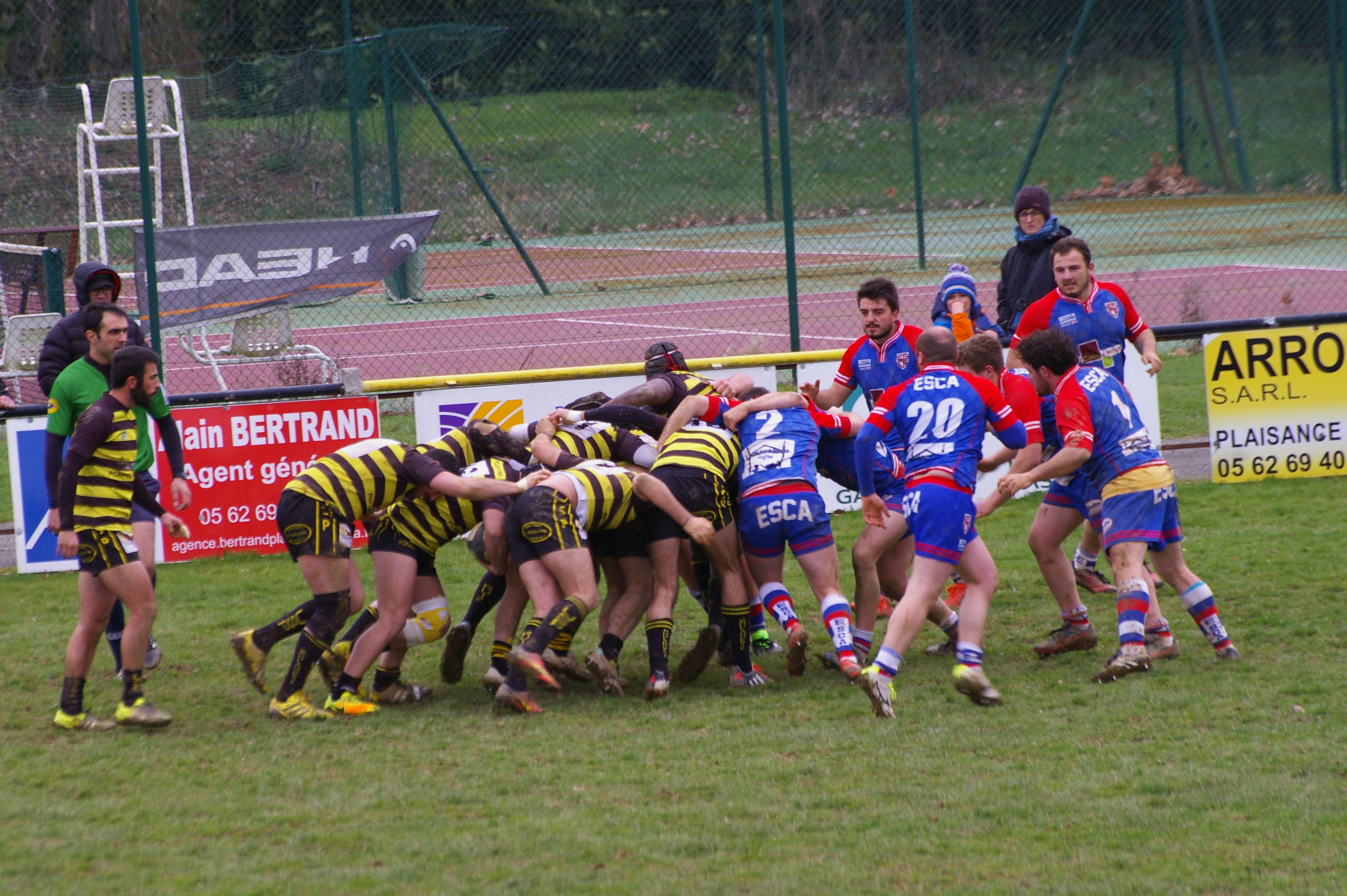 IMGP4130.JPG