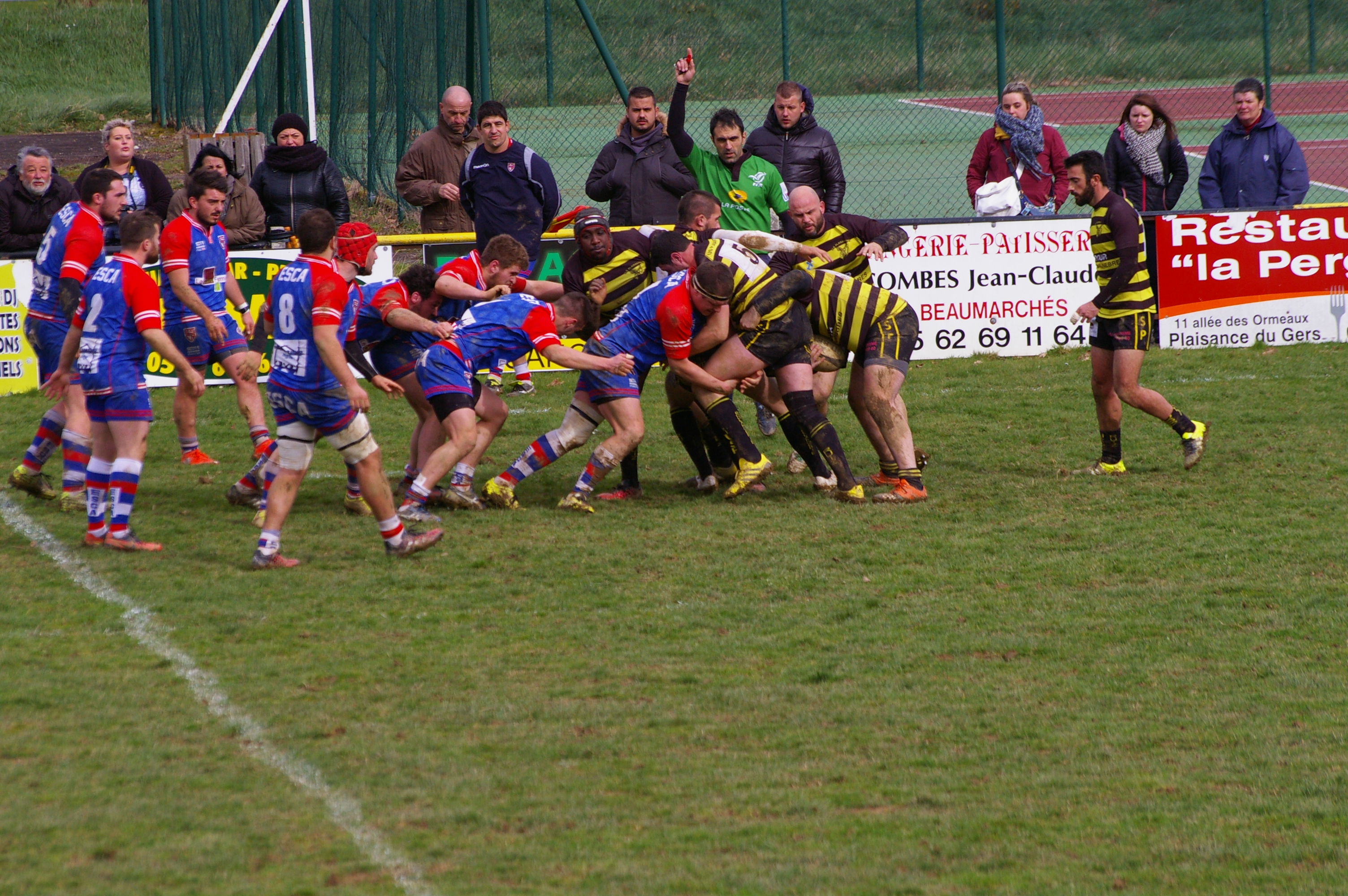 IMGP4117.JPG