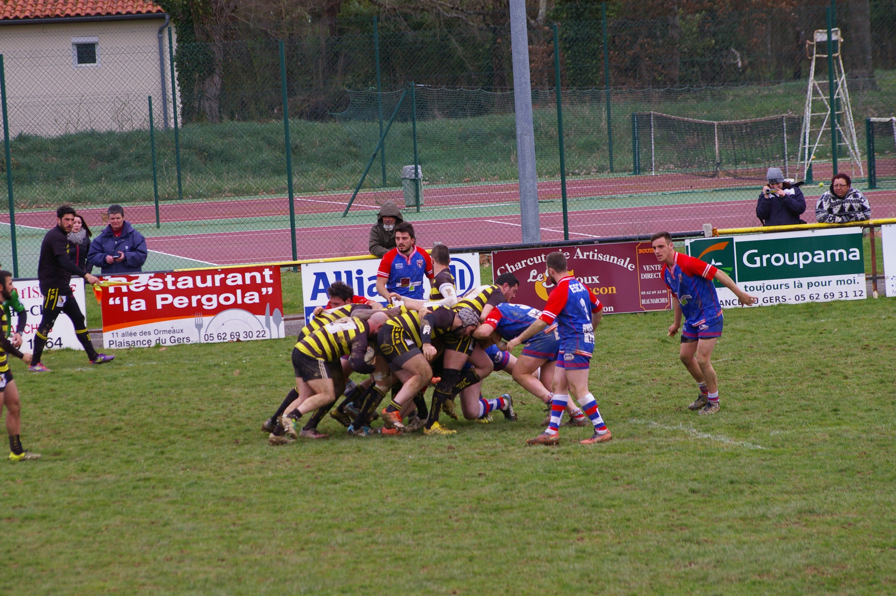 IMGP4123.JPG