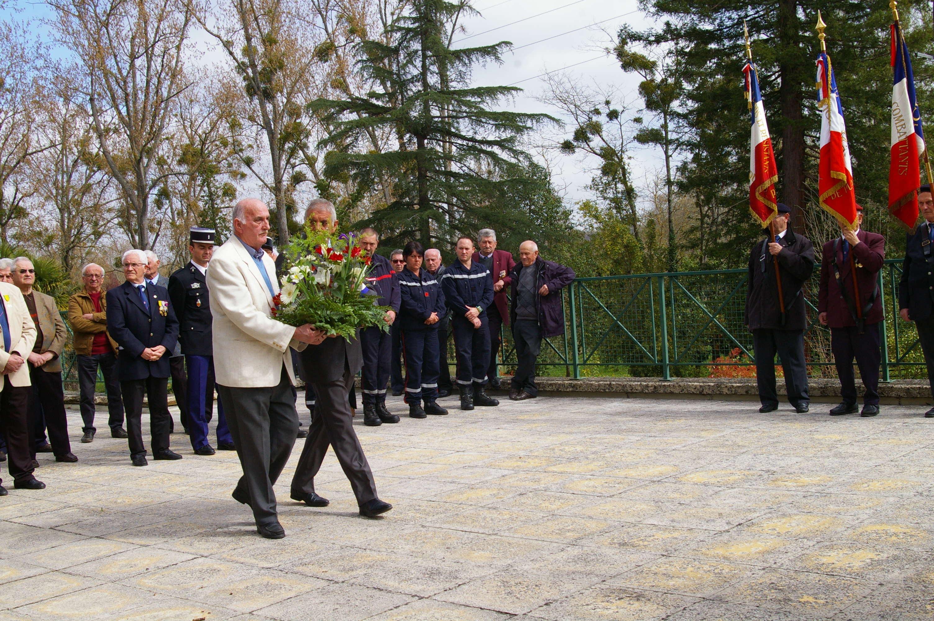 IMGP4177.JPG