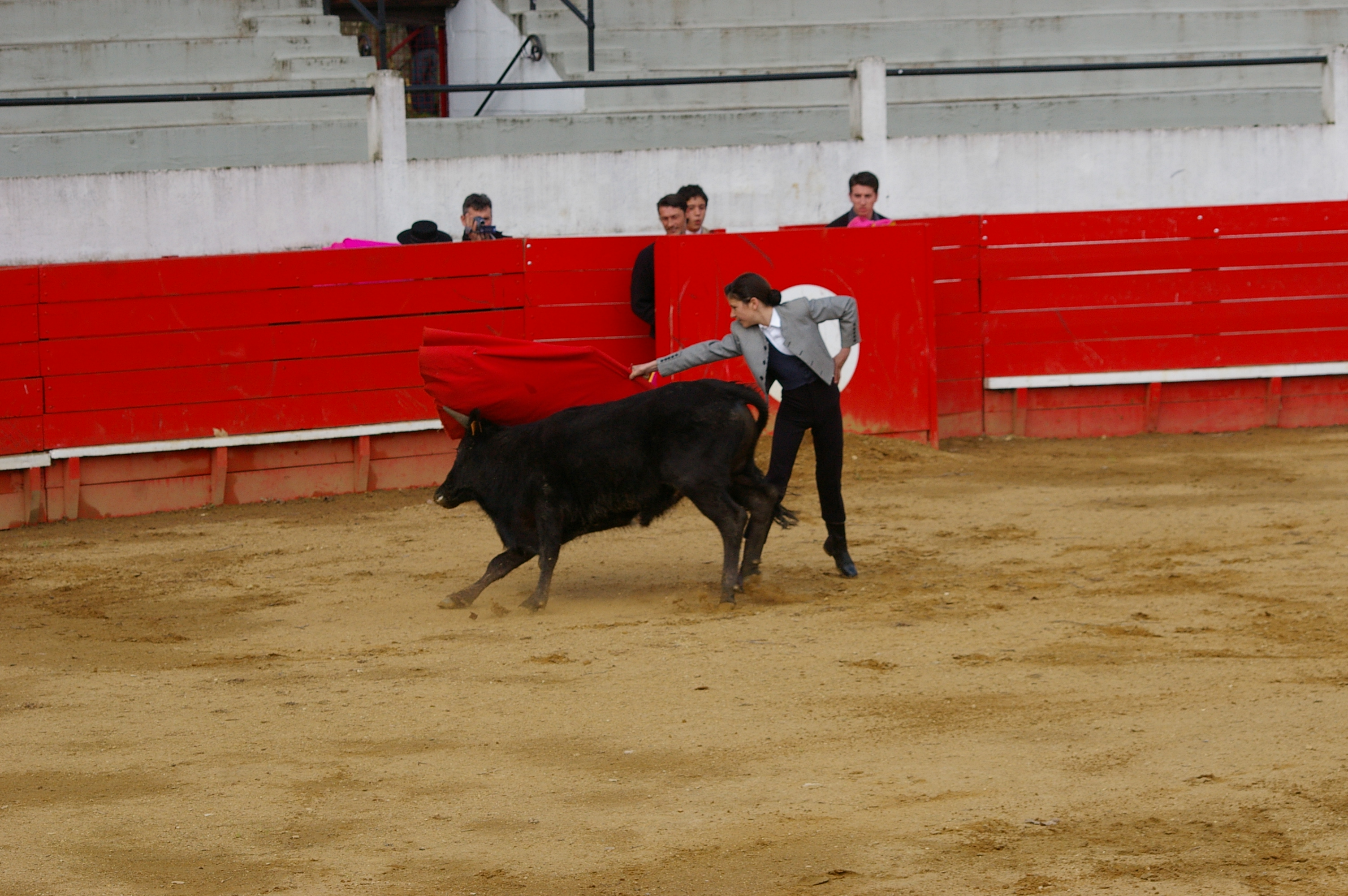 IMGP8164.JPG