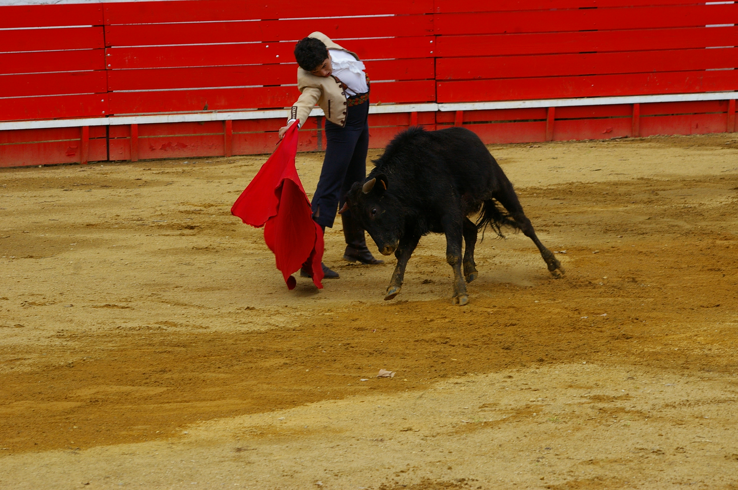 IMGP8161.JPG