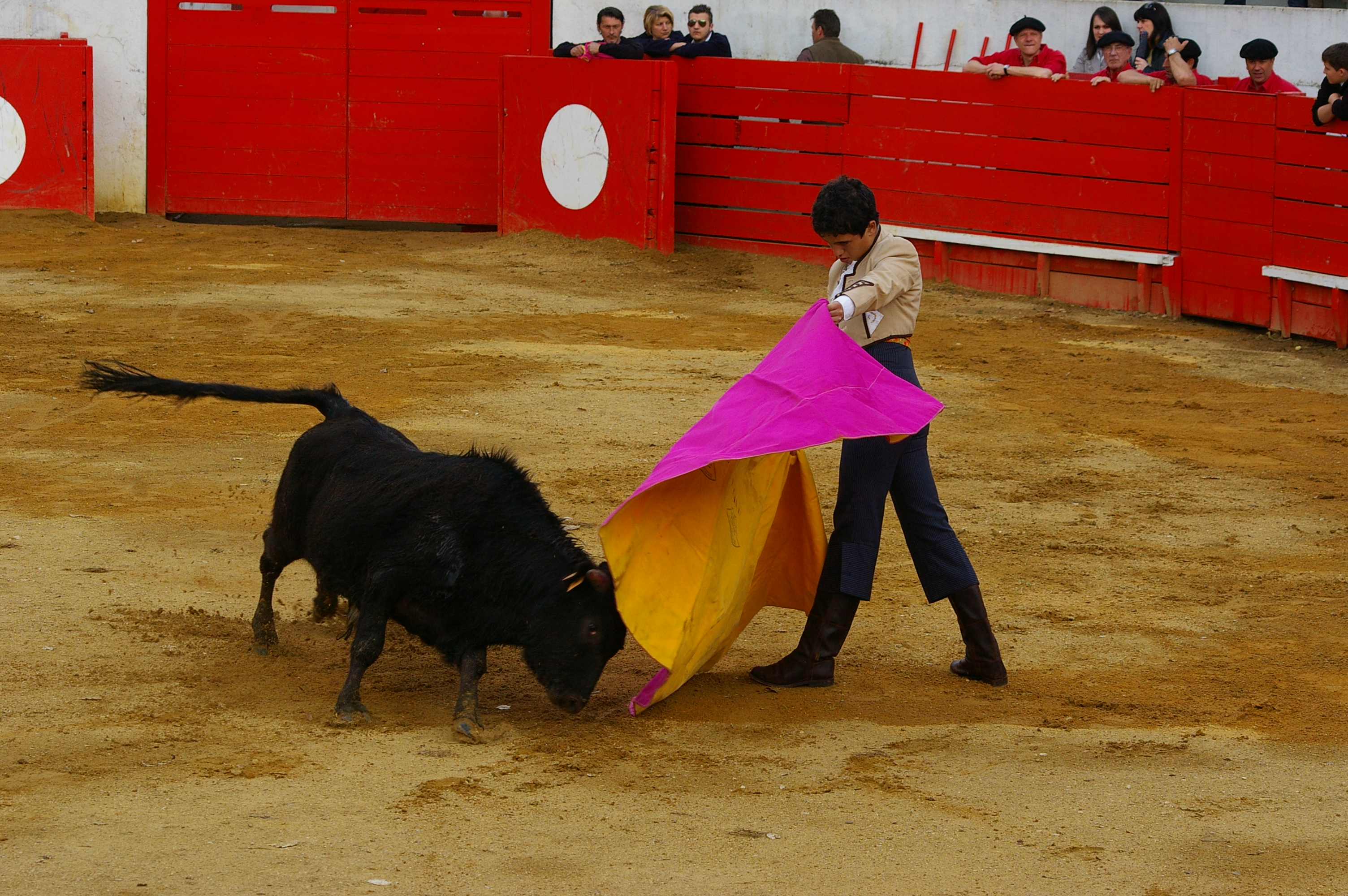 IMGP8159.JPG