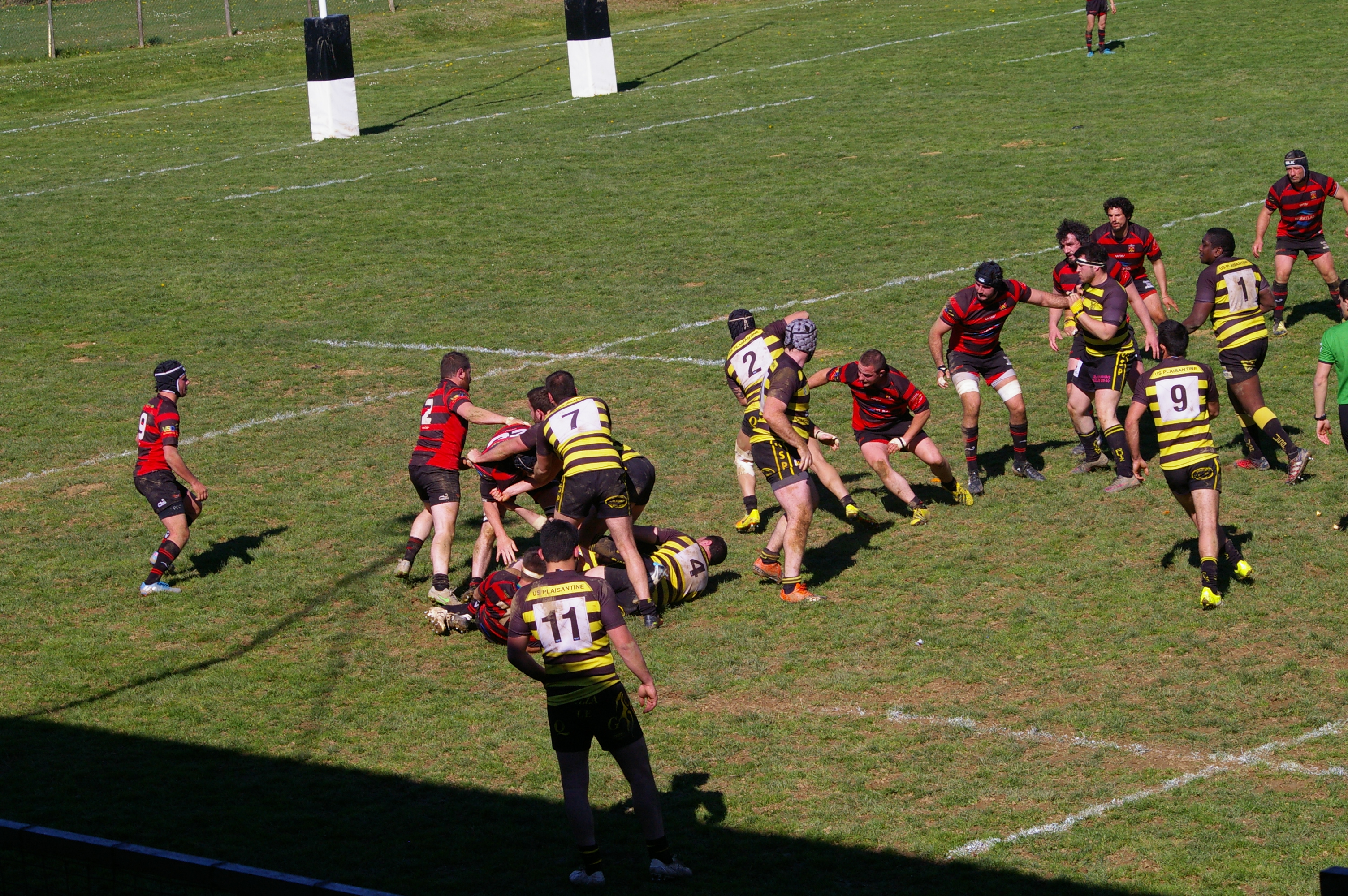 IMGP4267.JPG