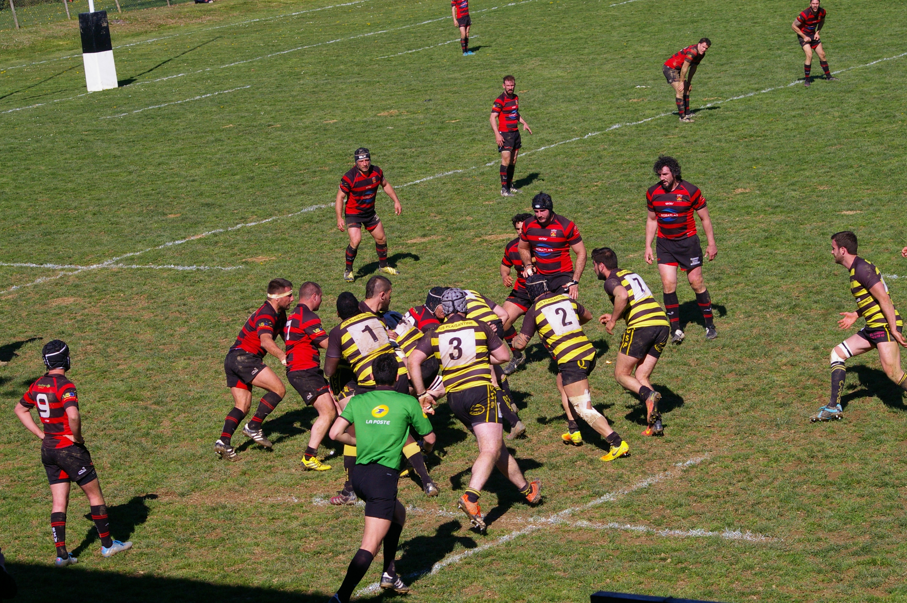 IMGP4265.JPG