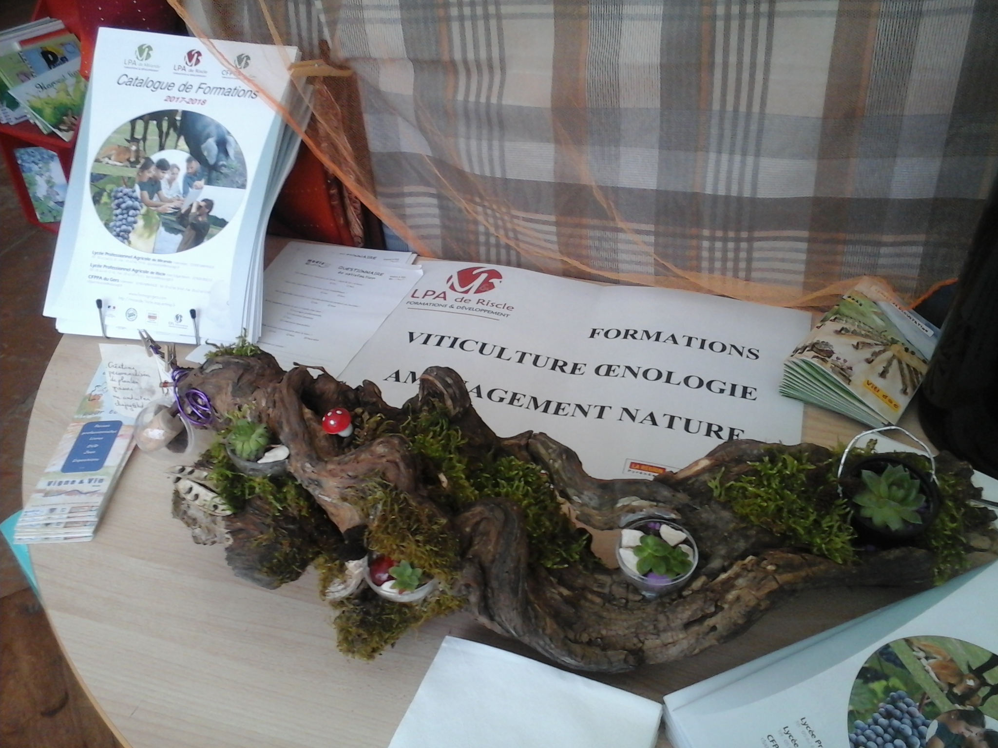 SAINT MONT MEDIATHEQUE ET LPA RISCLE VIGNOBLE EN FETE SMF2017 (34).jpg