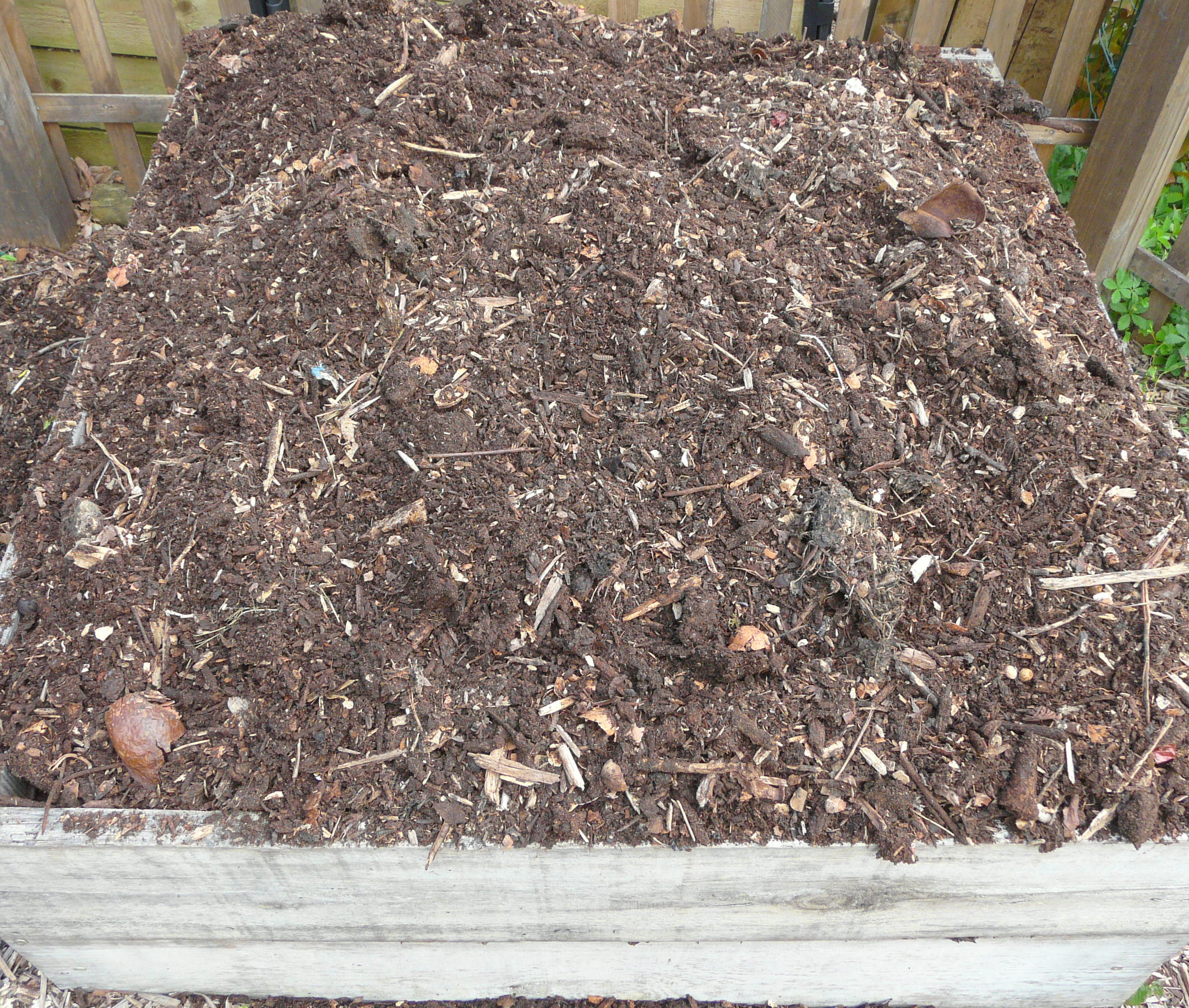 Compost3.jpg