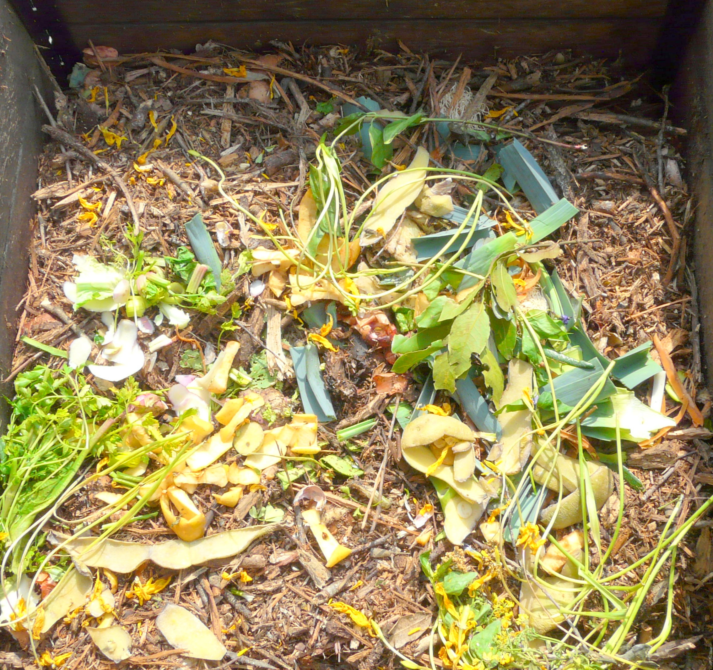 Compost2.jpg