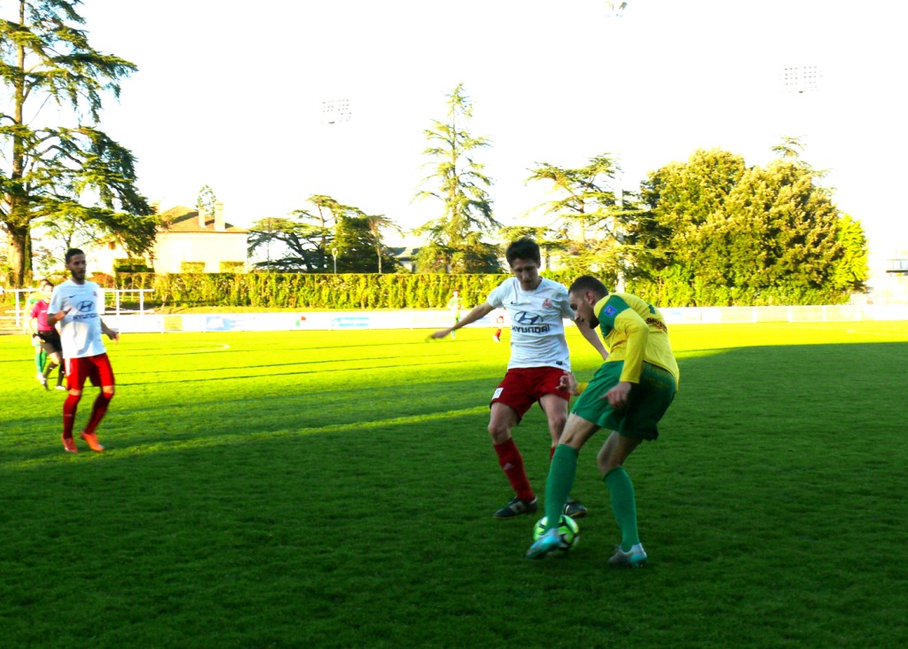 P1320135.JPG