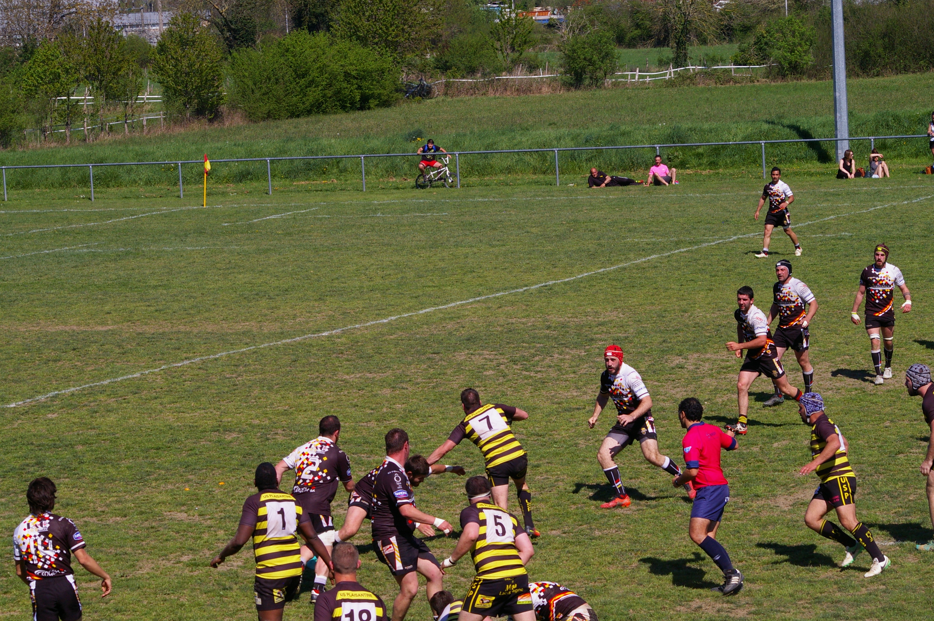 IMGP4388.JPG