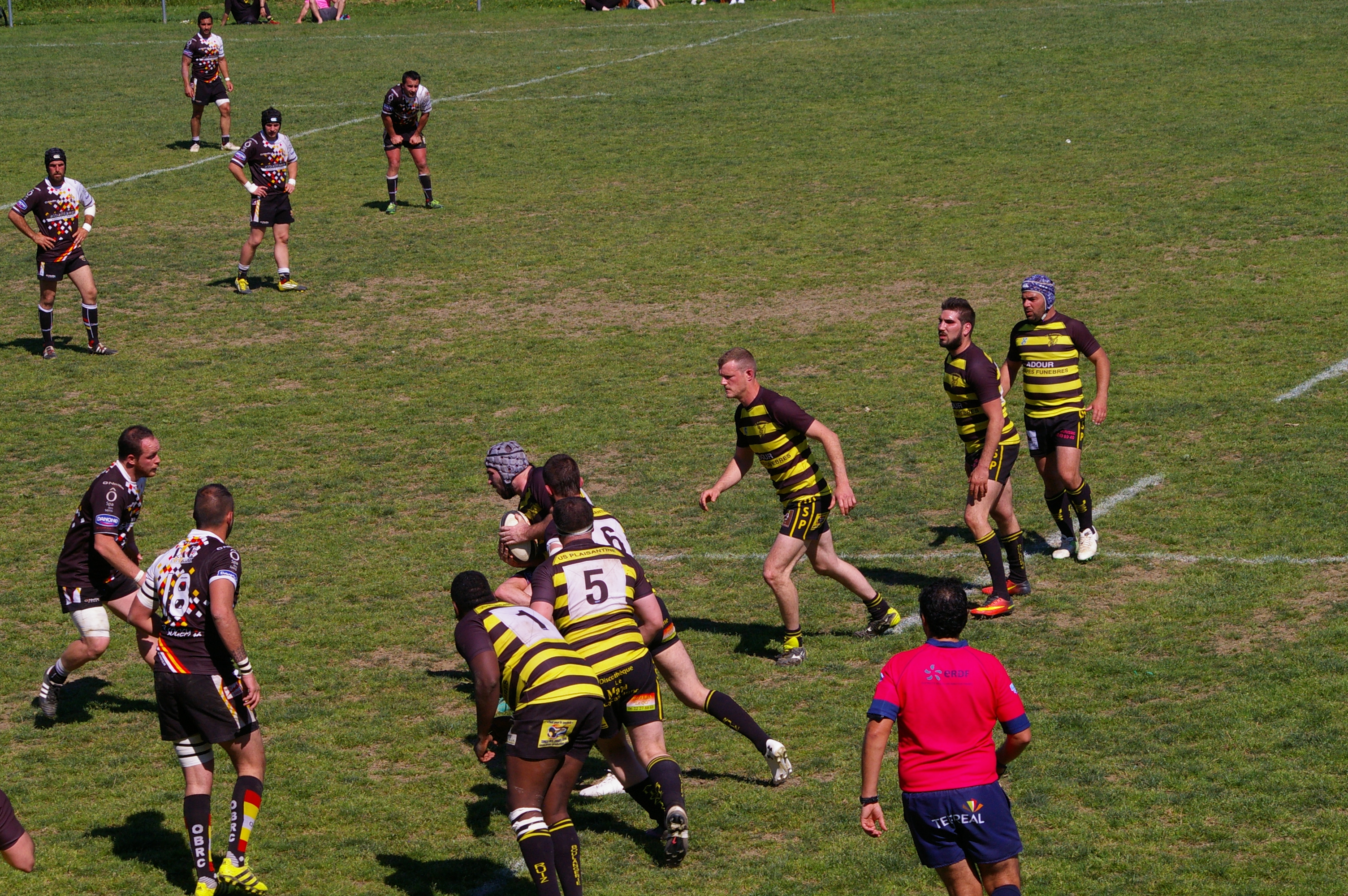 IMGP4390.JPG