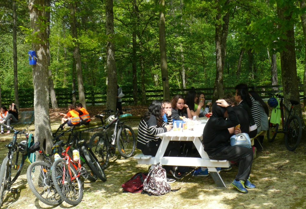 P1320141.JPG