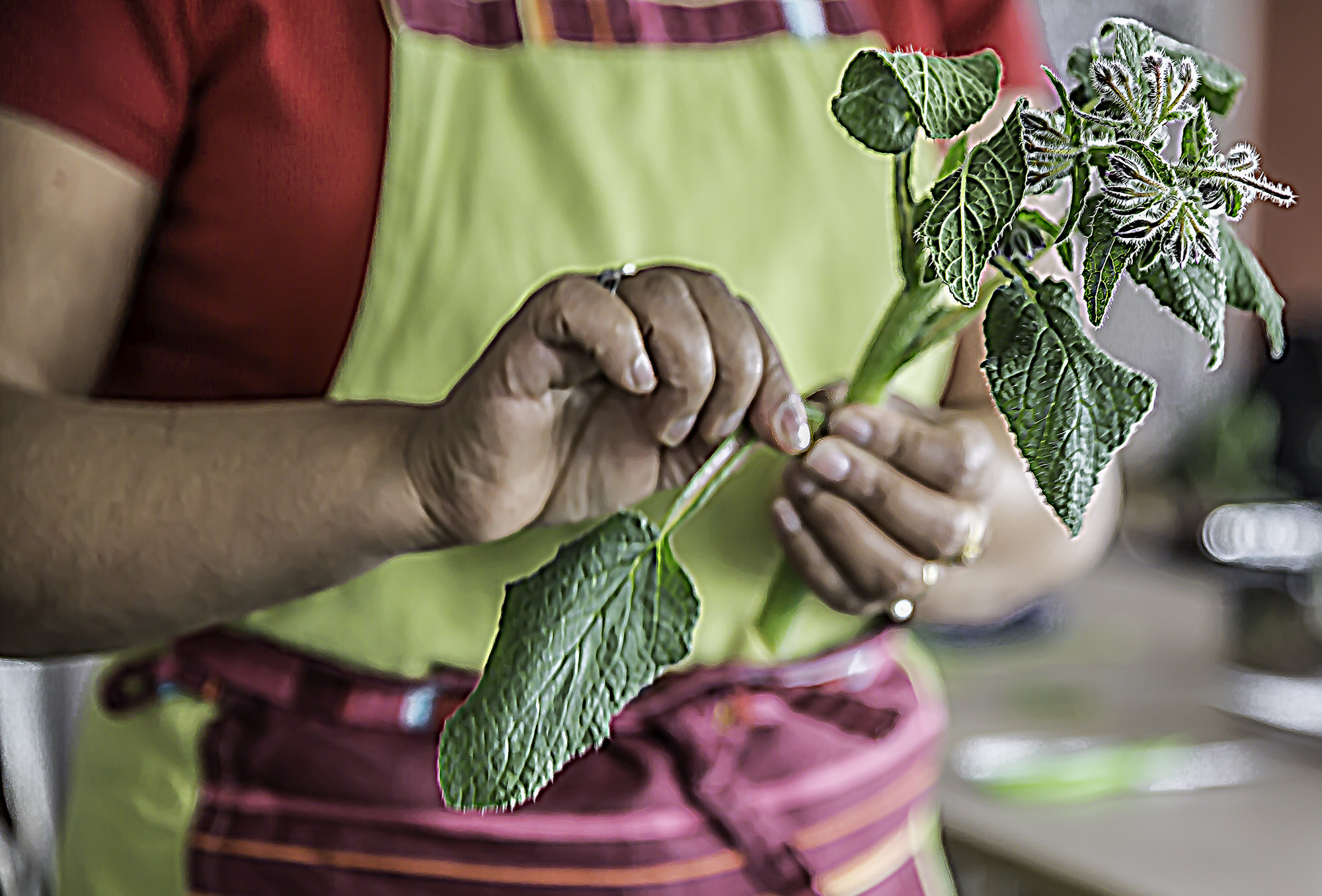4 Détacher délicatement les feuilles avec leurtige 1bis 310317.jpg