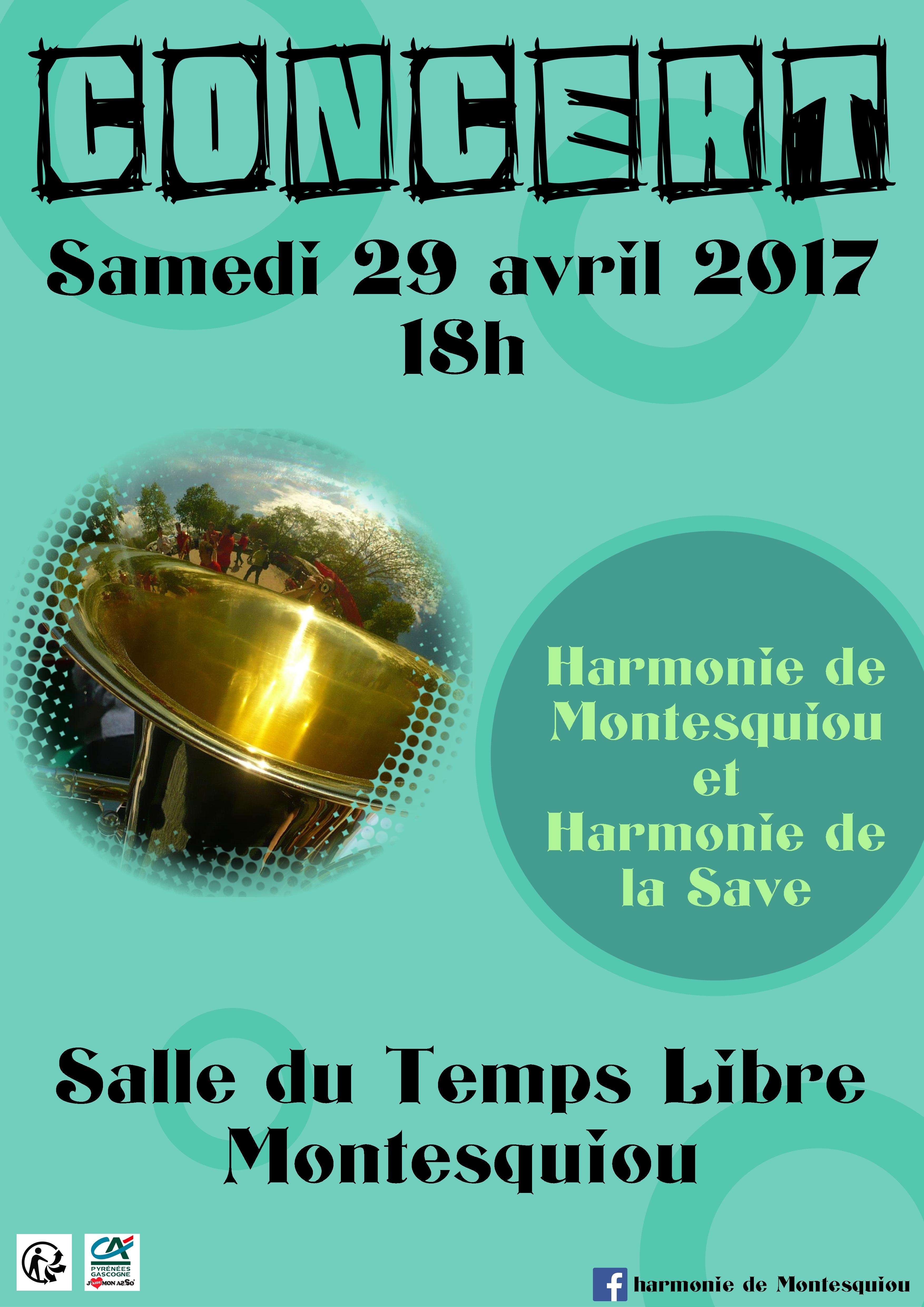concert 29-04-17 -2.jpg