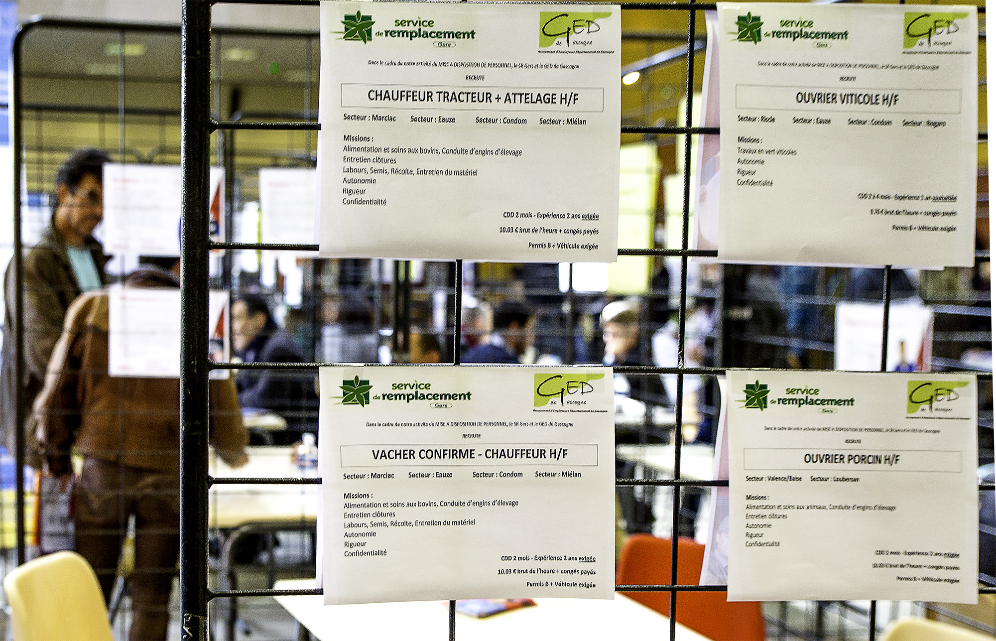 5 Exemples d'offres d'emploi 1bis 120417.jpg