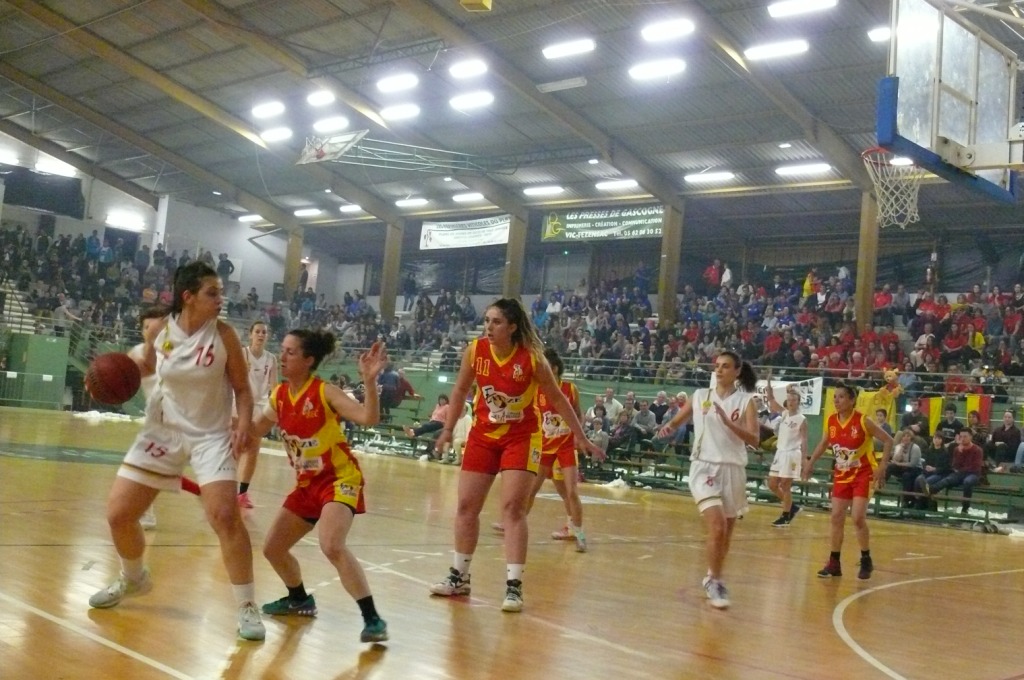 P1320291.JPG