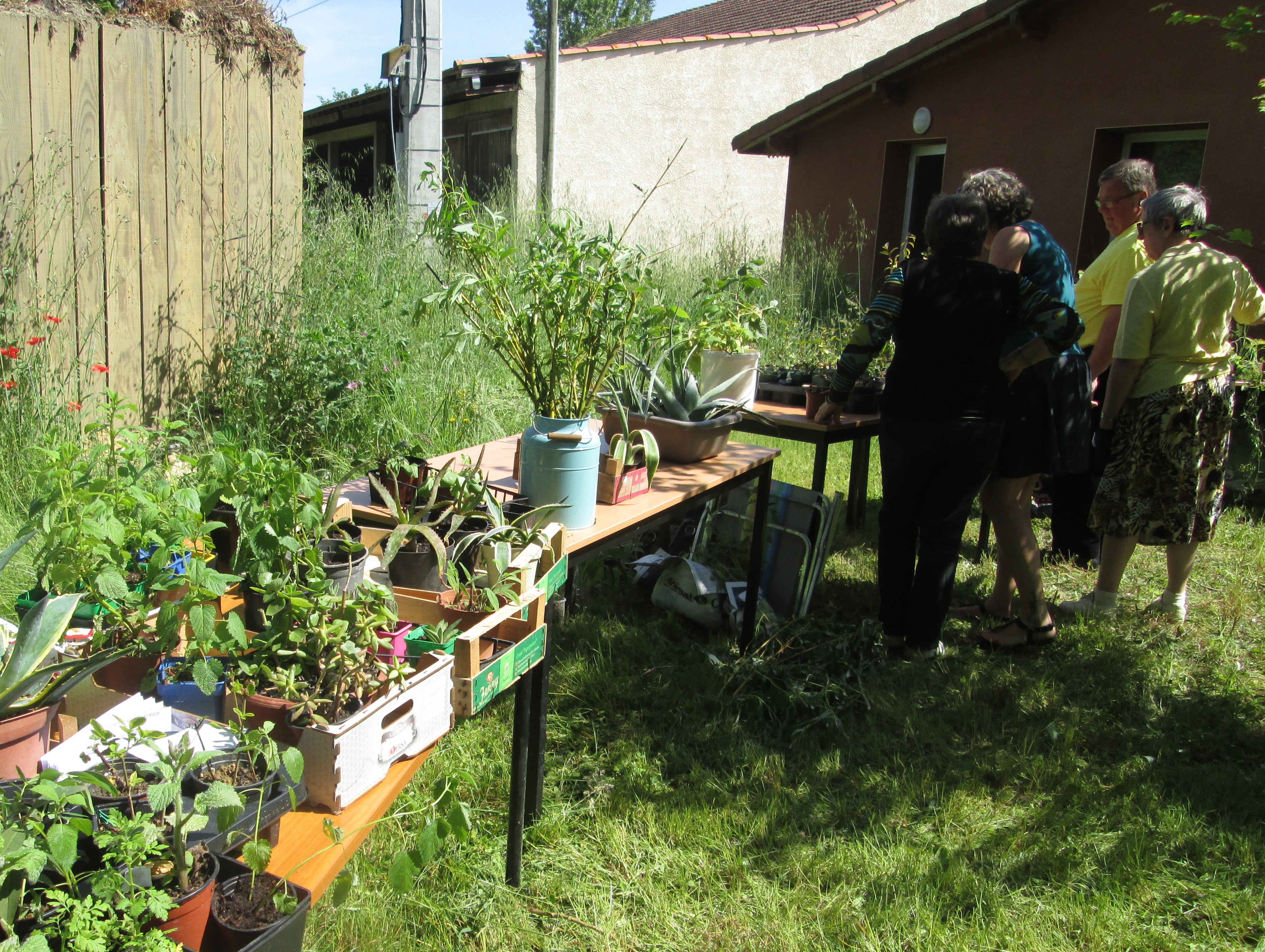 RISCLE ECOCENTRE PIEERE ET TERRE troc graines et plantes 2017 .JPG DR.jpg