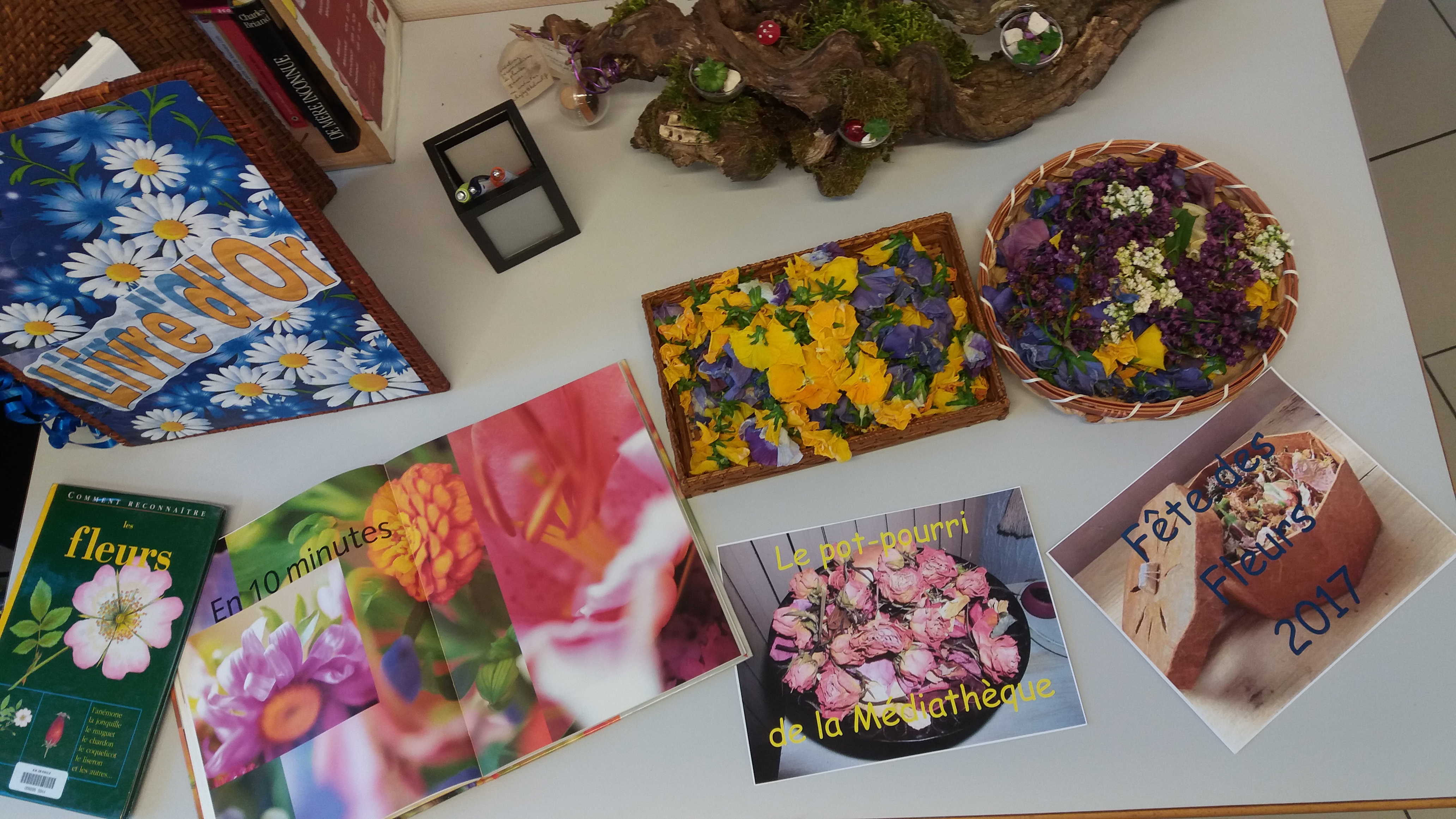 RISCLE FETE DES FLEURS MEDIATHEQUE 20170412_171119.jpg