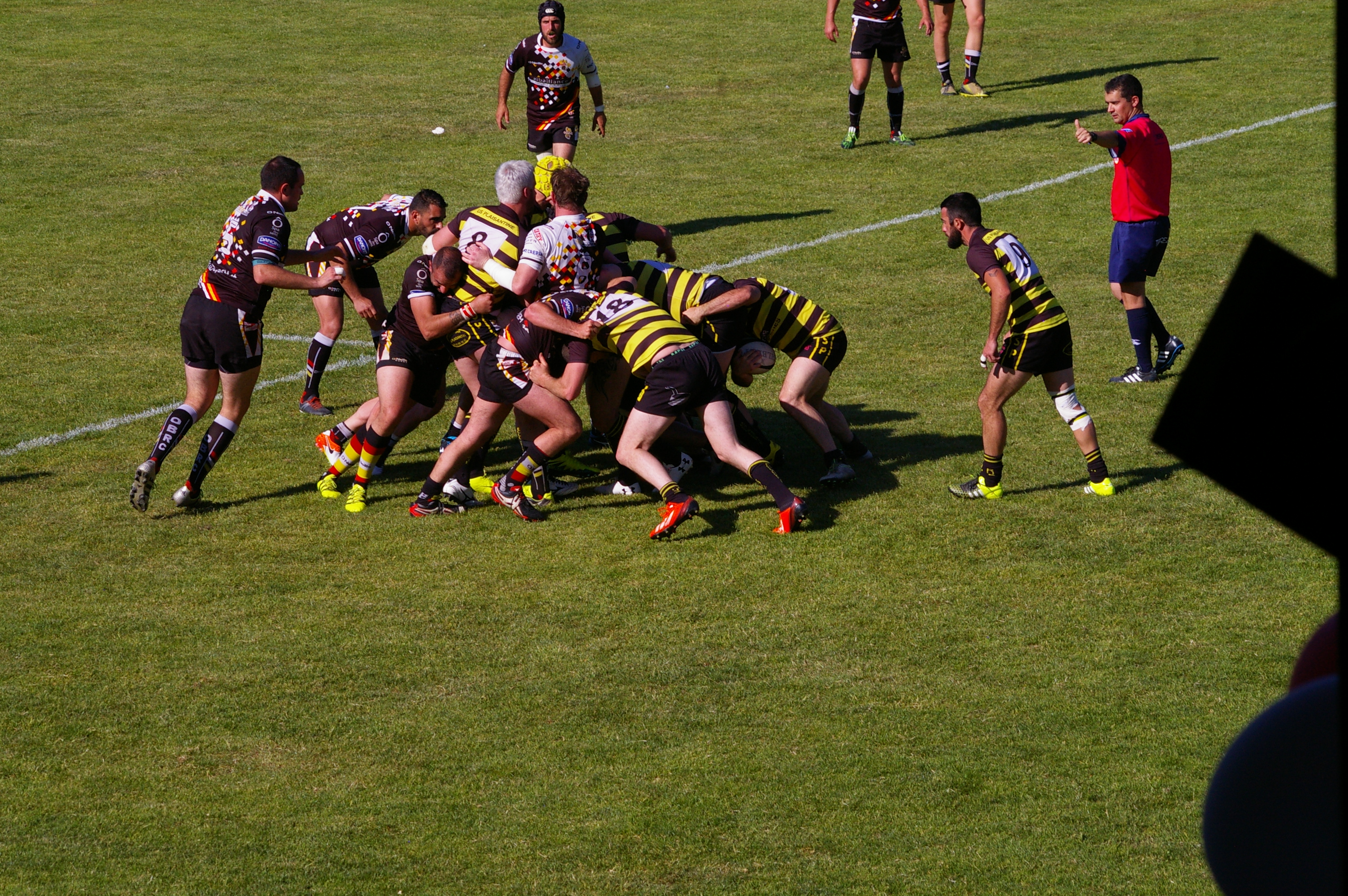 IMGP4527.JPG