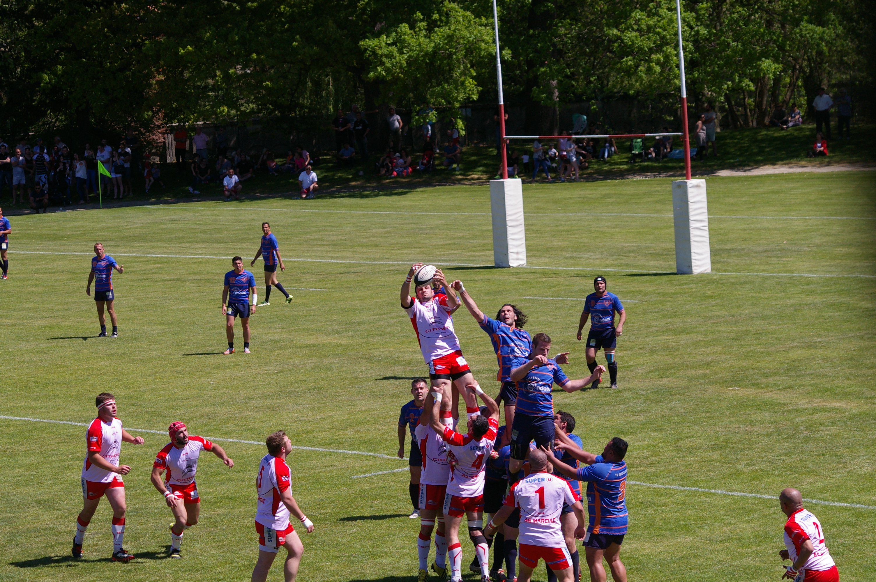 IMGP4496.JPG