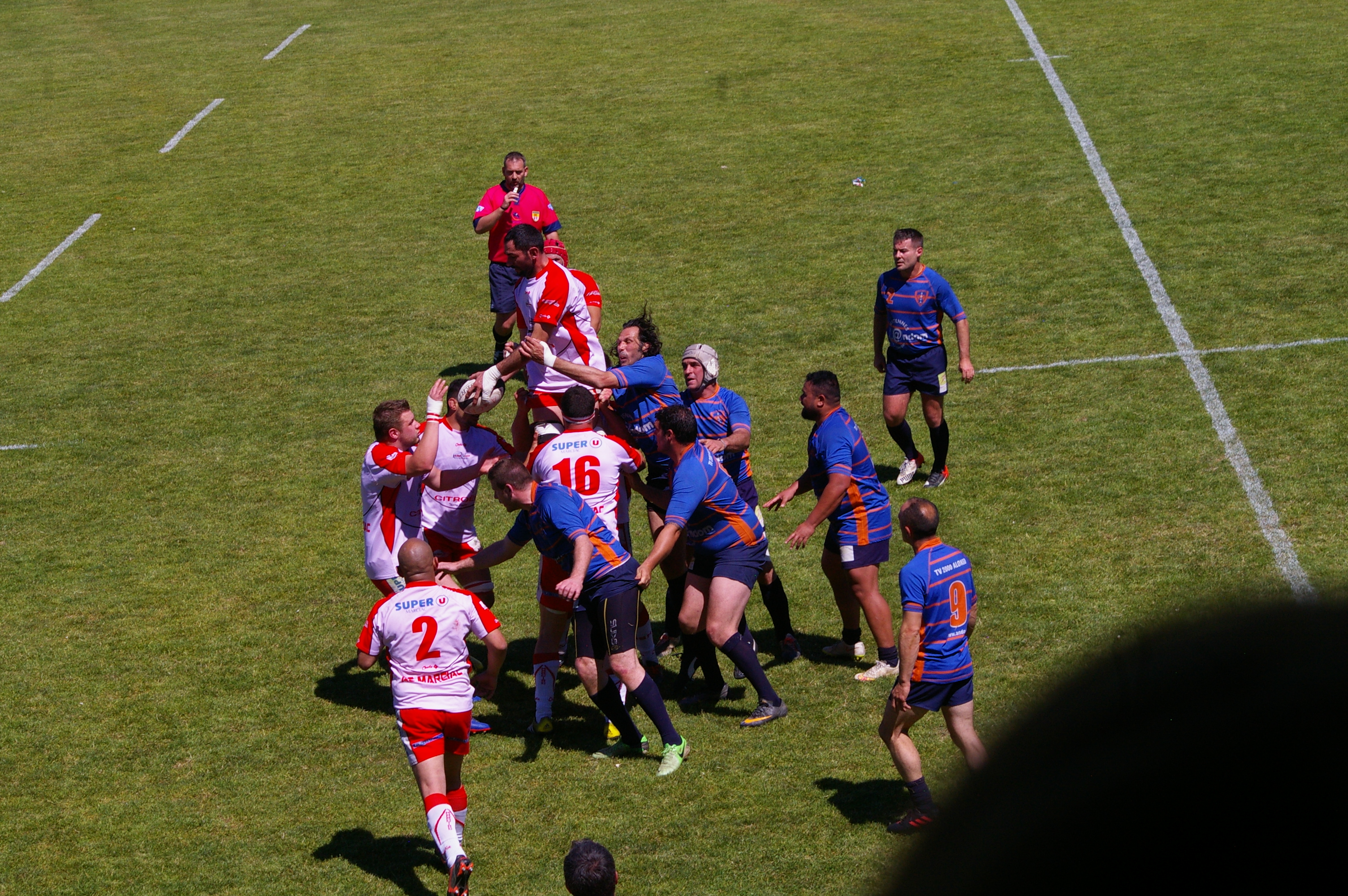 IMGP4500.JPG