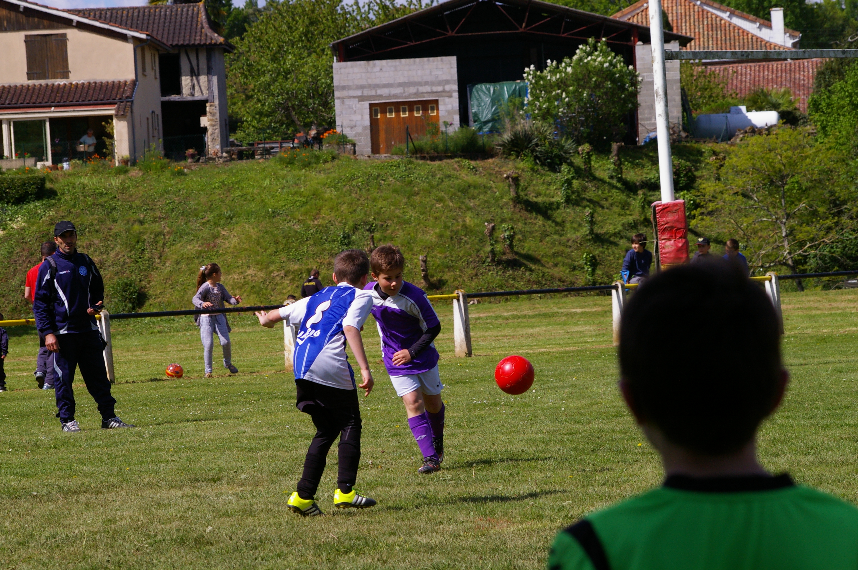 IMGP2013.JPG