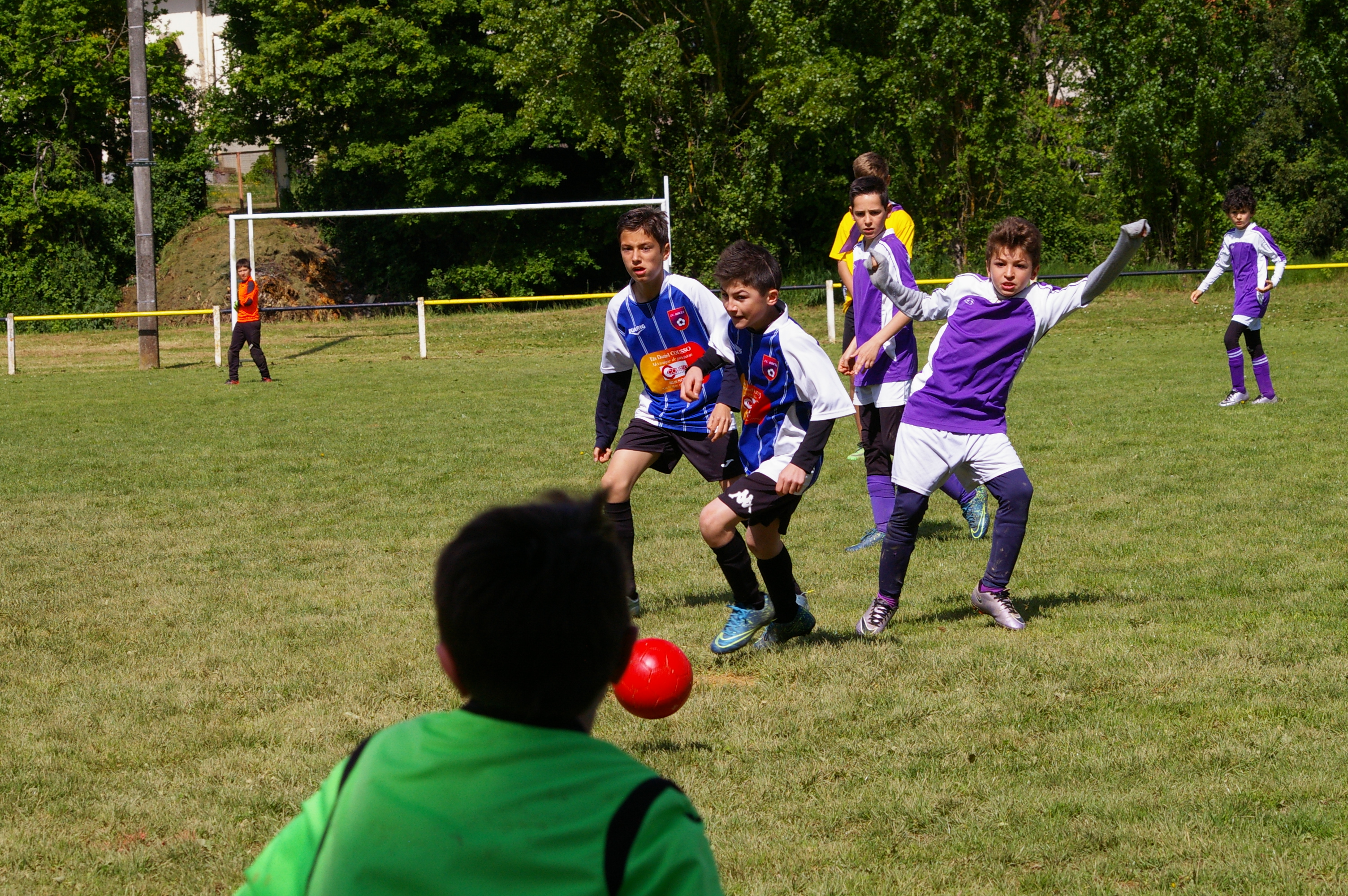 IMGP2015.JPG