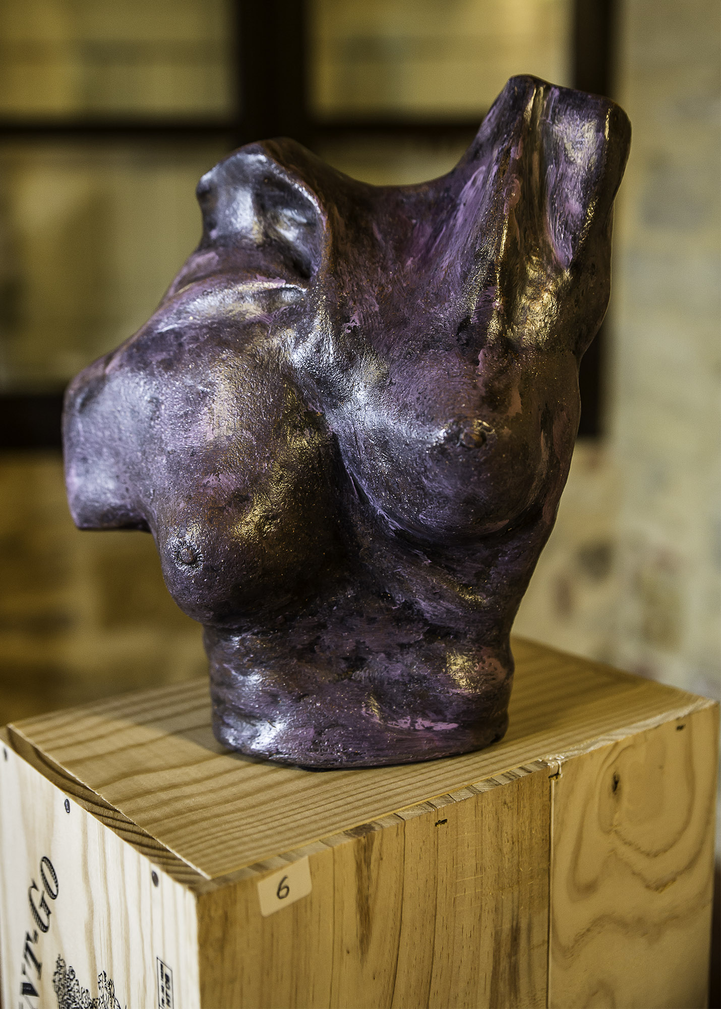 10 Statue poitrine 1bis 050517.jpg