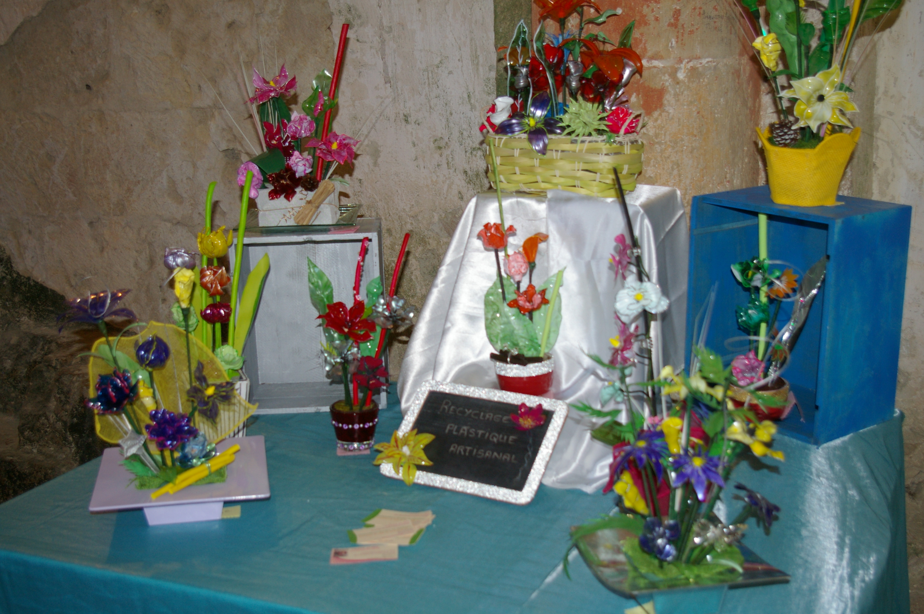 IMGP4623.JPG