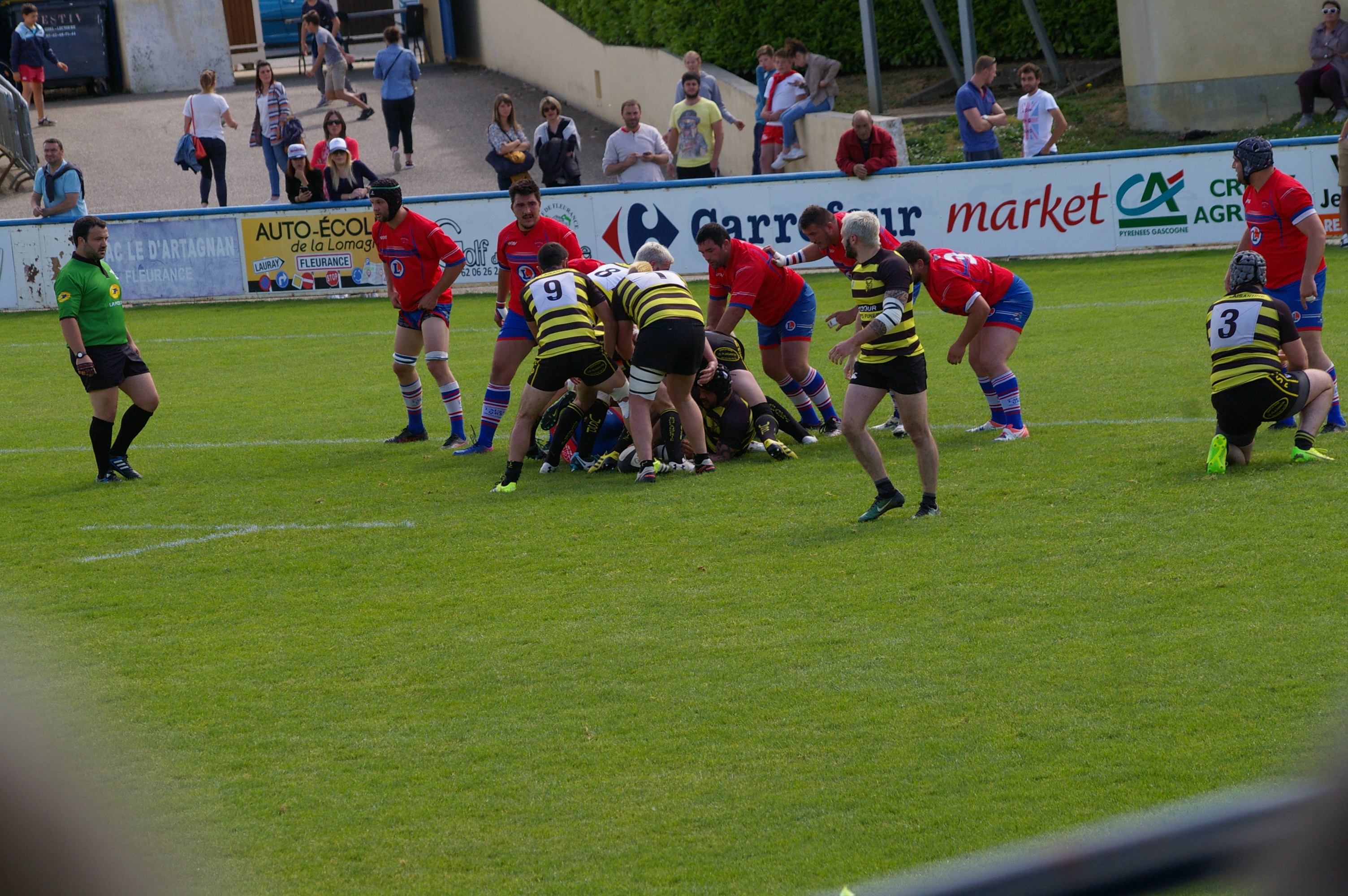IMGP4631.JPG