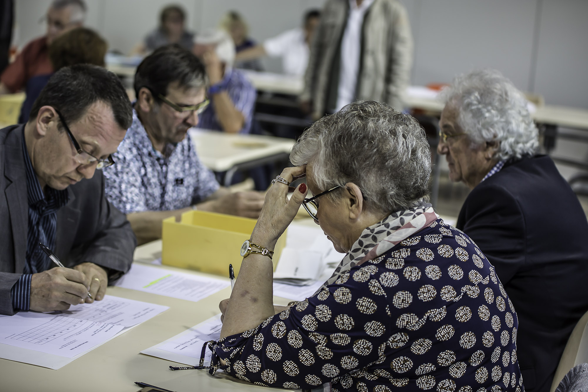 1 Table de dépouillement 1bis 070517.jpg