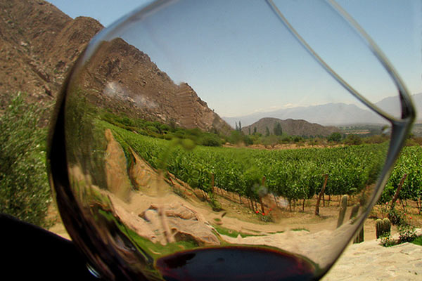 z_vinoentabuenc-a.jpg
