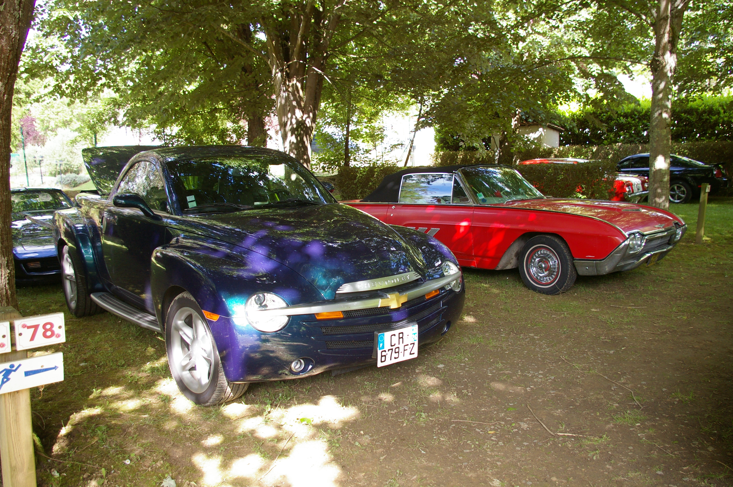 IMGP4697.JPG