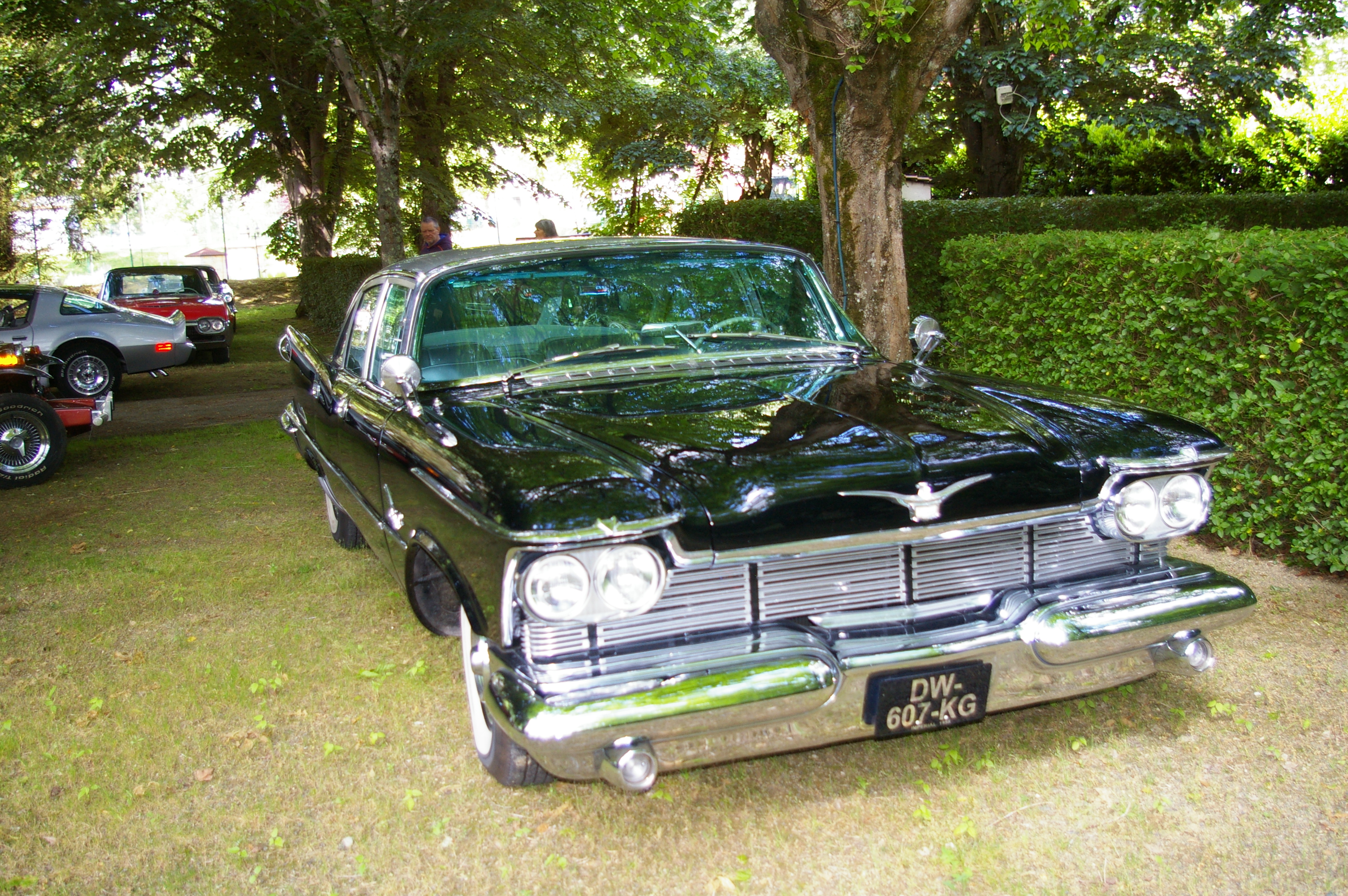 IMGP4695.JPG