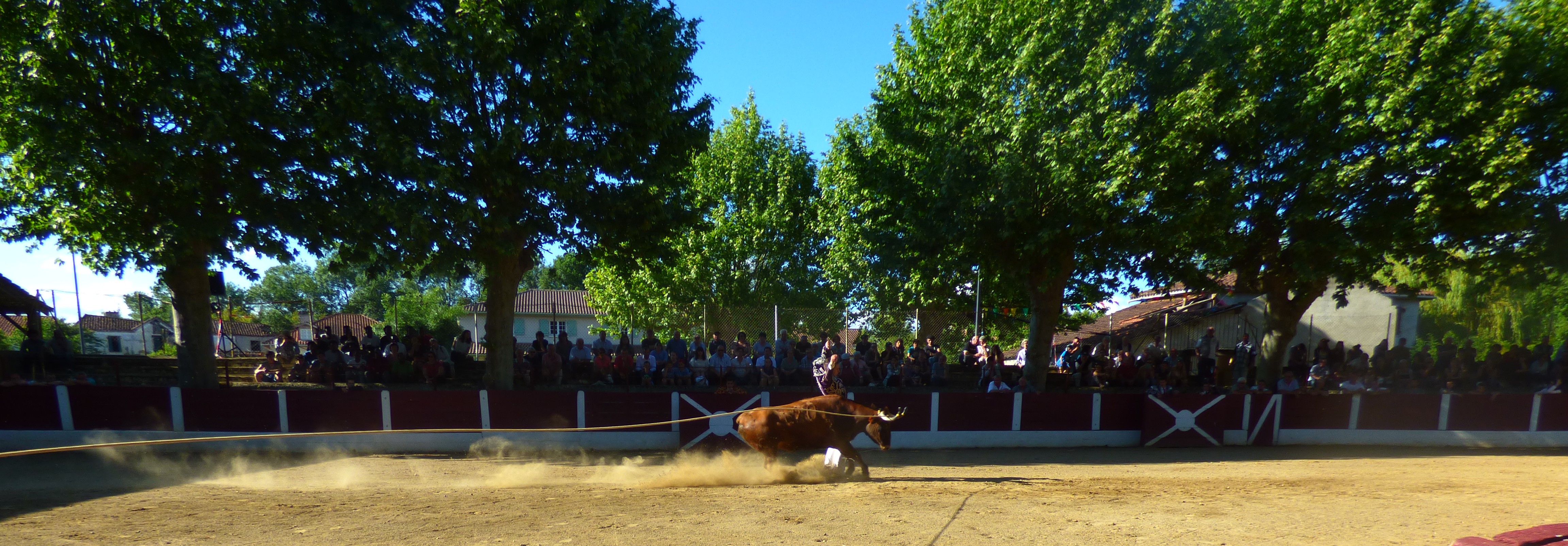P1010440.JPG