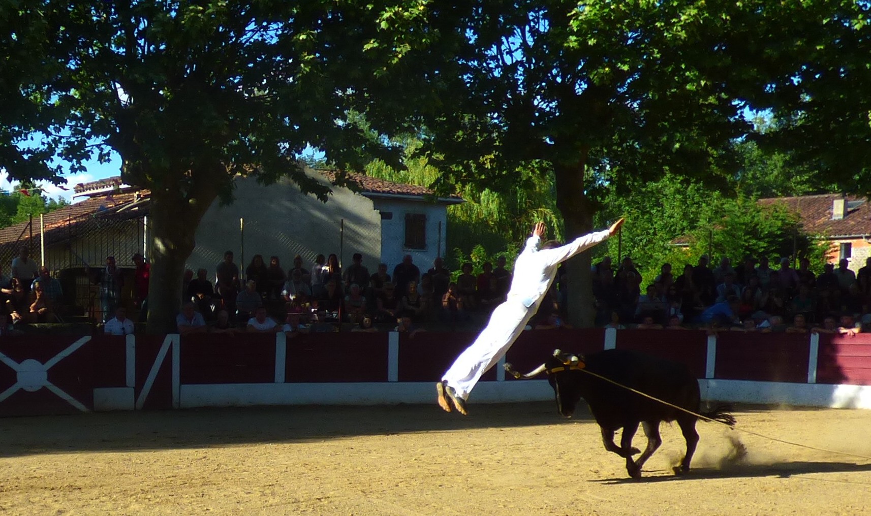 P1010446.JPG