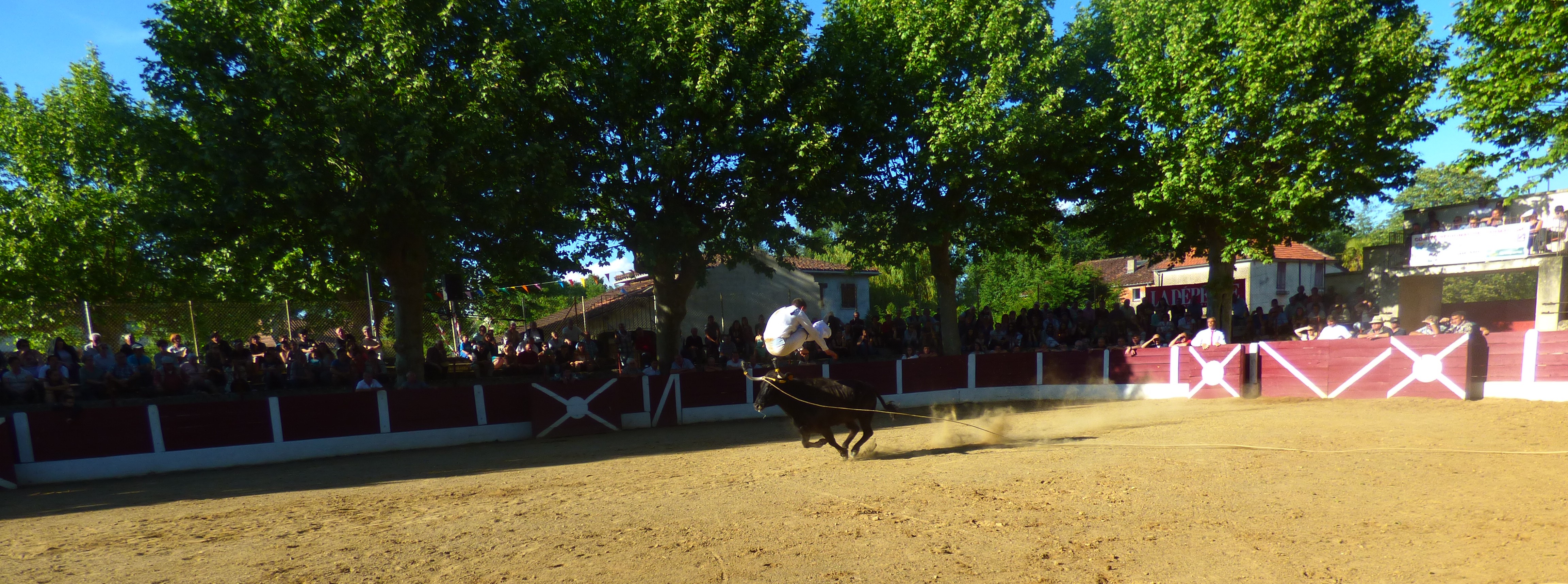 P1010449.JPG