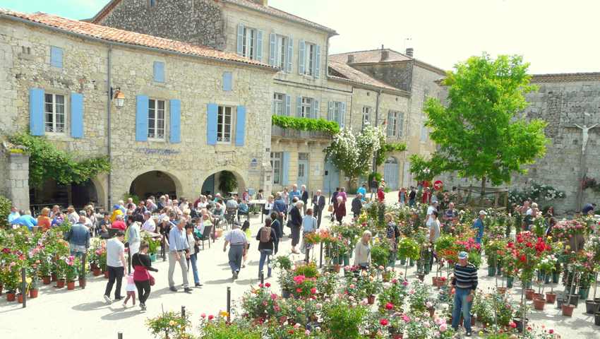 Rosiers2.jpg
