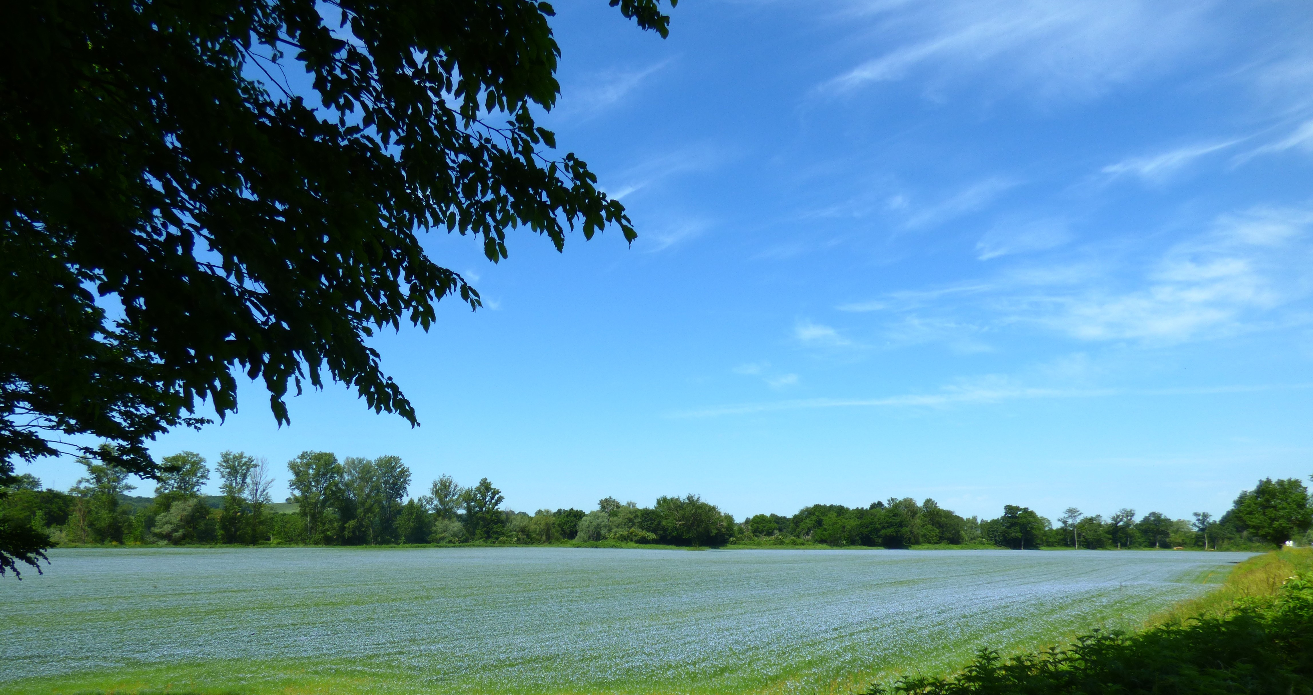P1010534.JPG