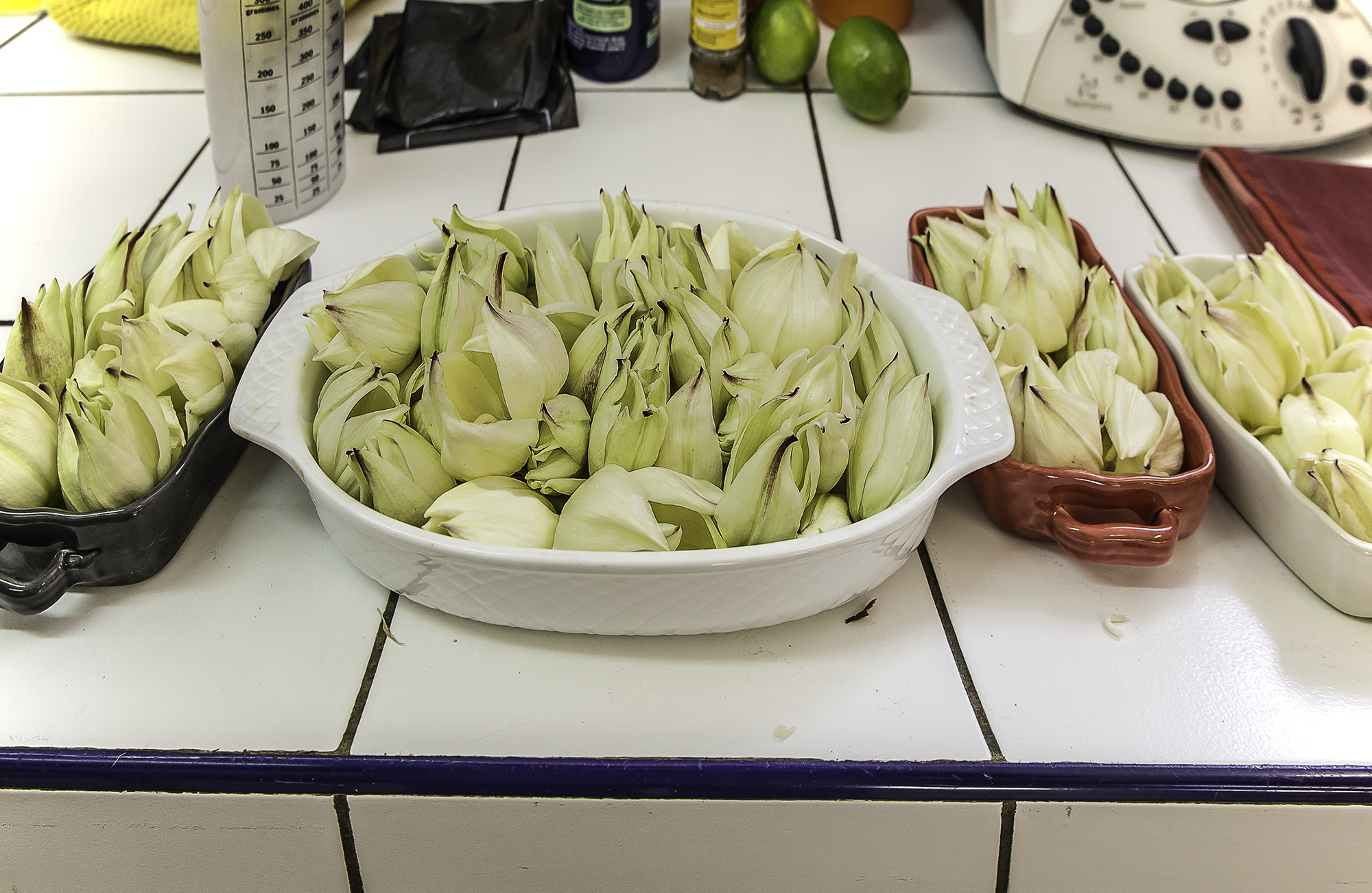 3 Les fleurs sont prêtes pour le grattin 1bis 030517.jpg