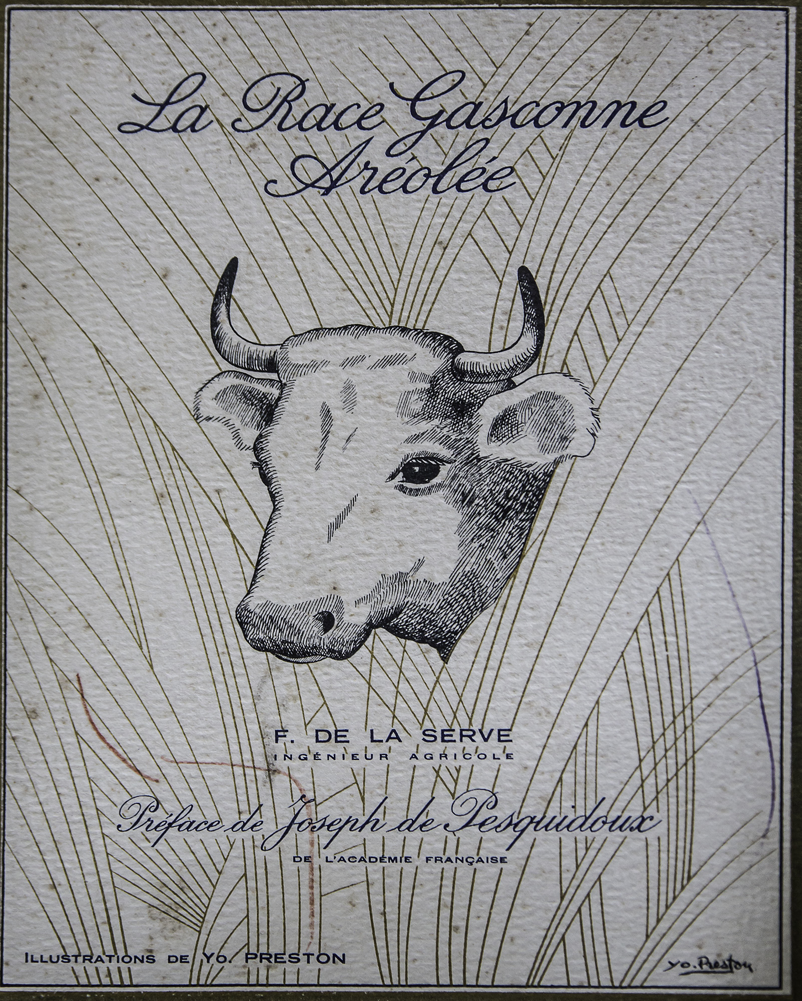 4 Couverture d'un ouvrage sur le boeuf aréolé  (bœuf nacré de Gascogne ou race mirandaise)  préfacé par Joseph de Pesquidoux, grand-père de Beretrand de Pesquidoux 1bis 020617.jpg