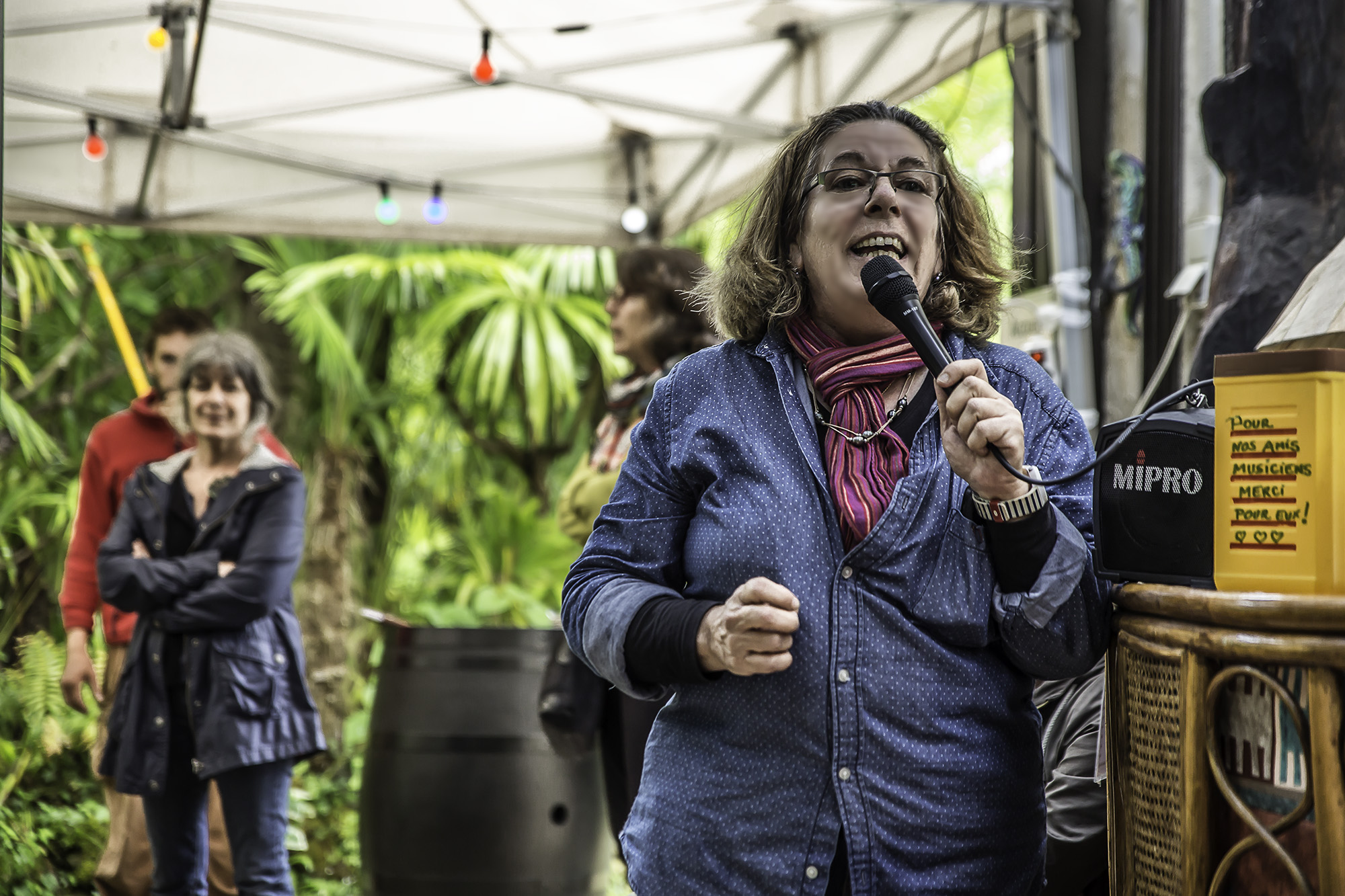 5 Marie-Christine Fort dit un mot d'introduction  1bis 040617.jpg