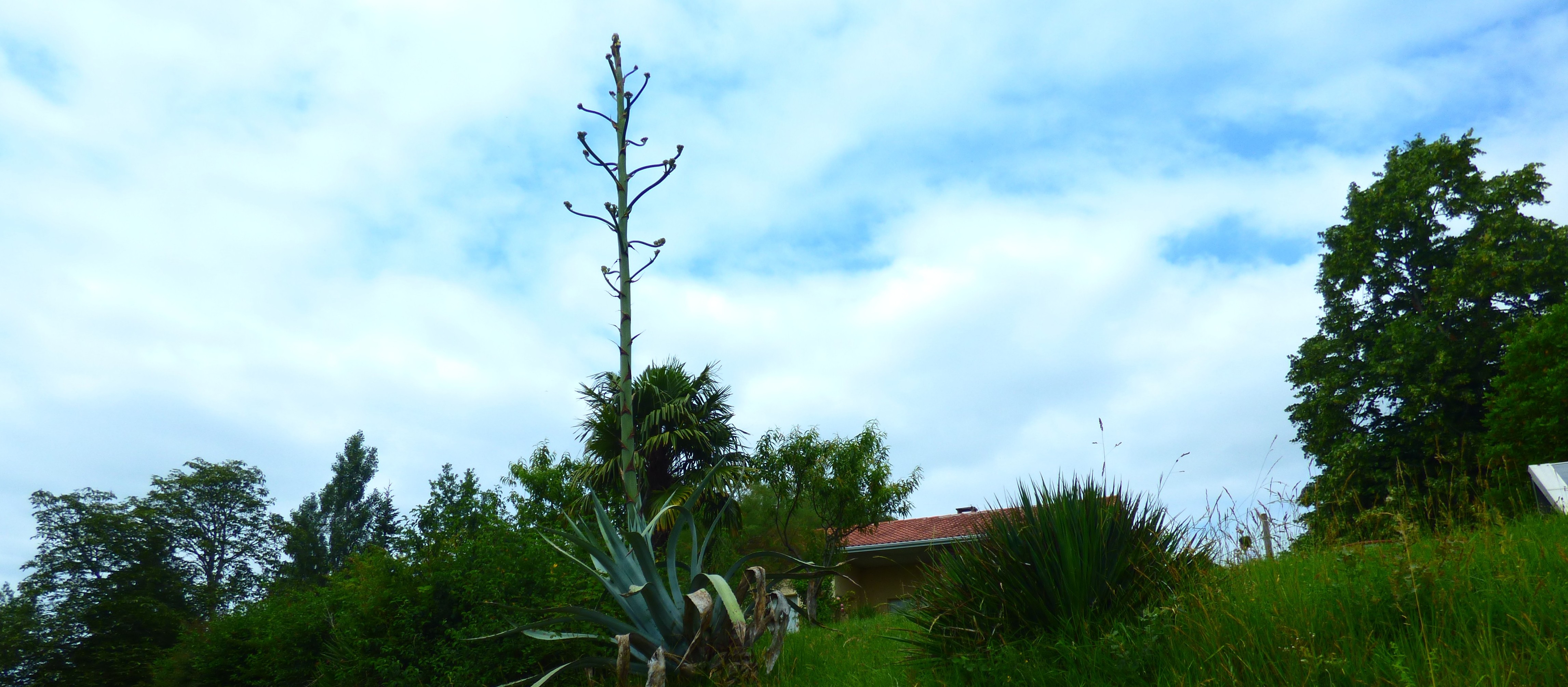 P1010875.JPG