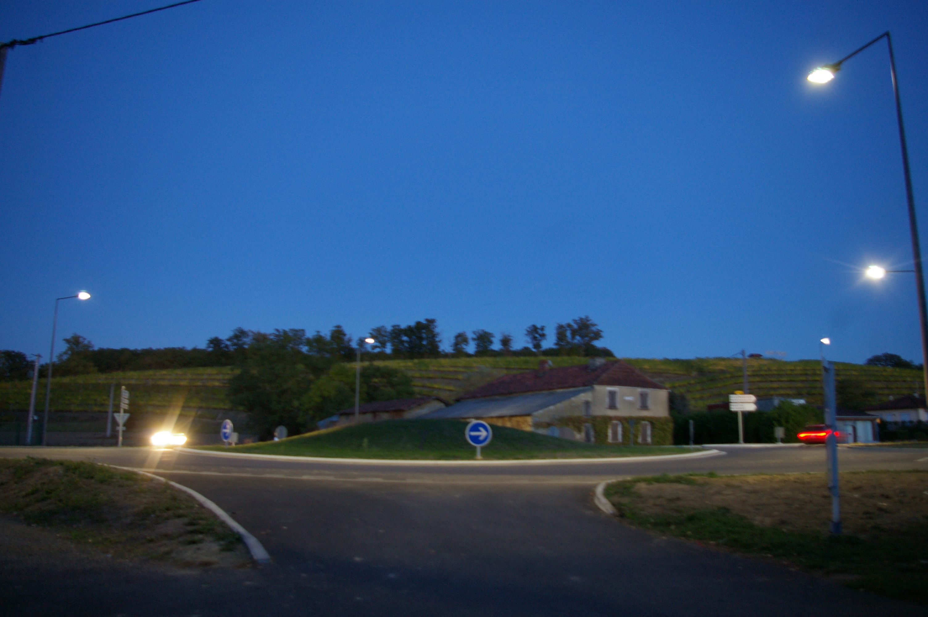 IMGP3272.JPG