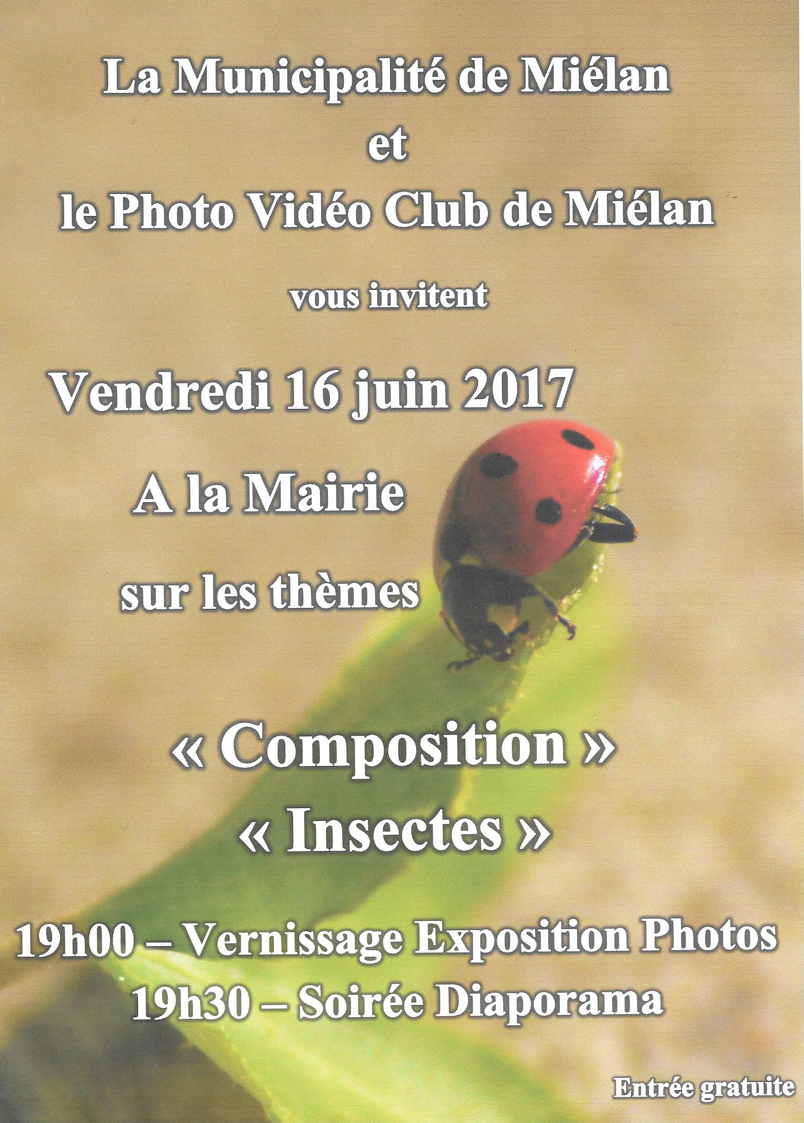 Expo Mielan.jpg